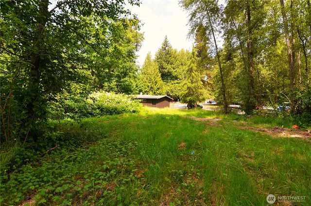 a view of yard with green space