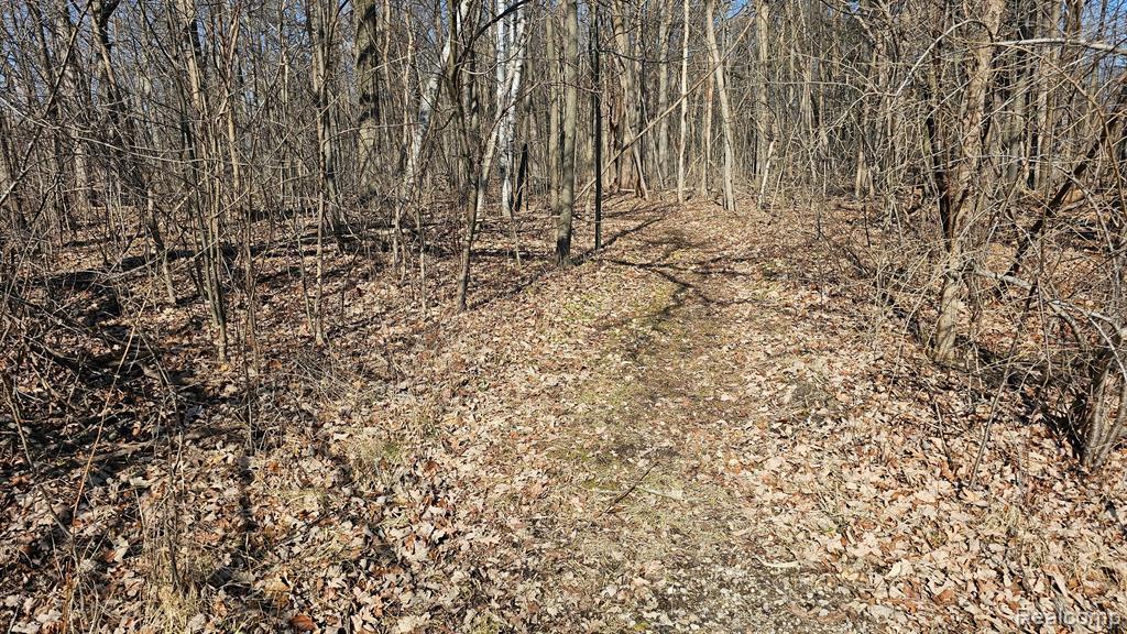4336 West Lake Road Clio, MI 48420 - Photo 5 of 52 Gallery Image 5