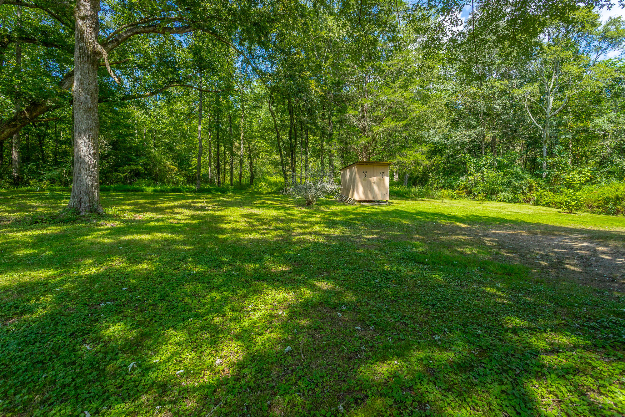 463 Griffith Highway Jasper, TN 37347 - Photo 49 of 52 463 Griffith Highway HD-58