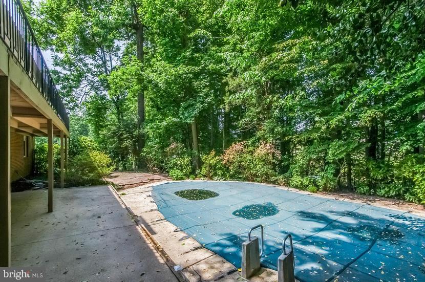 6252 Clearwood Road Bethesda, MD 20817 - Photo 27 of 30 PRIVATE AND WOODED BACKYARD