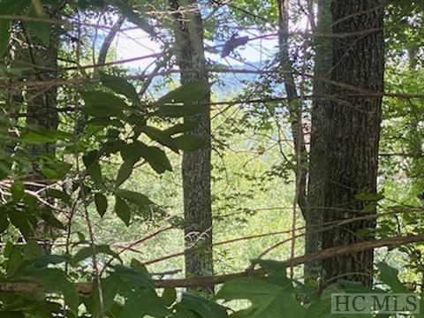 Lot 73 Narrows Road Sapphire, NC 28774 - Photo 2 of 22 Gallery Image 2