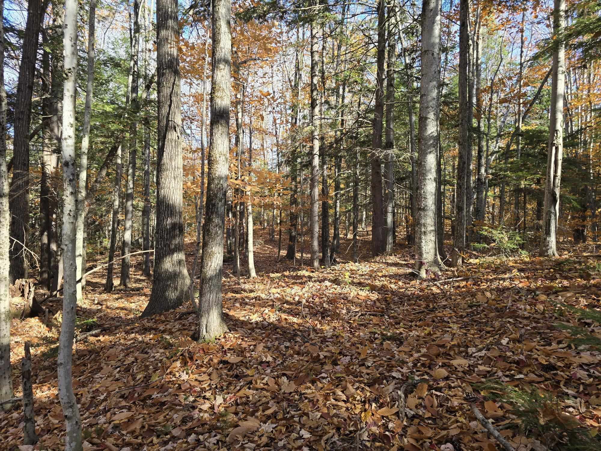 0 Bull Pasture Road Center Conway, NH 03813 - Photo 3 of 5