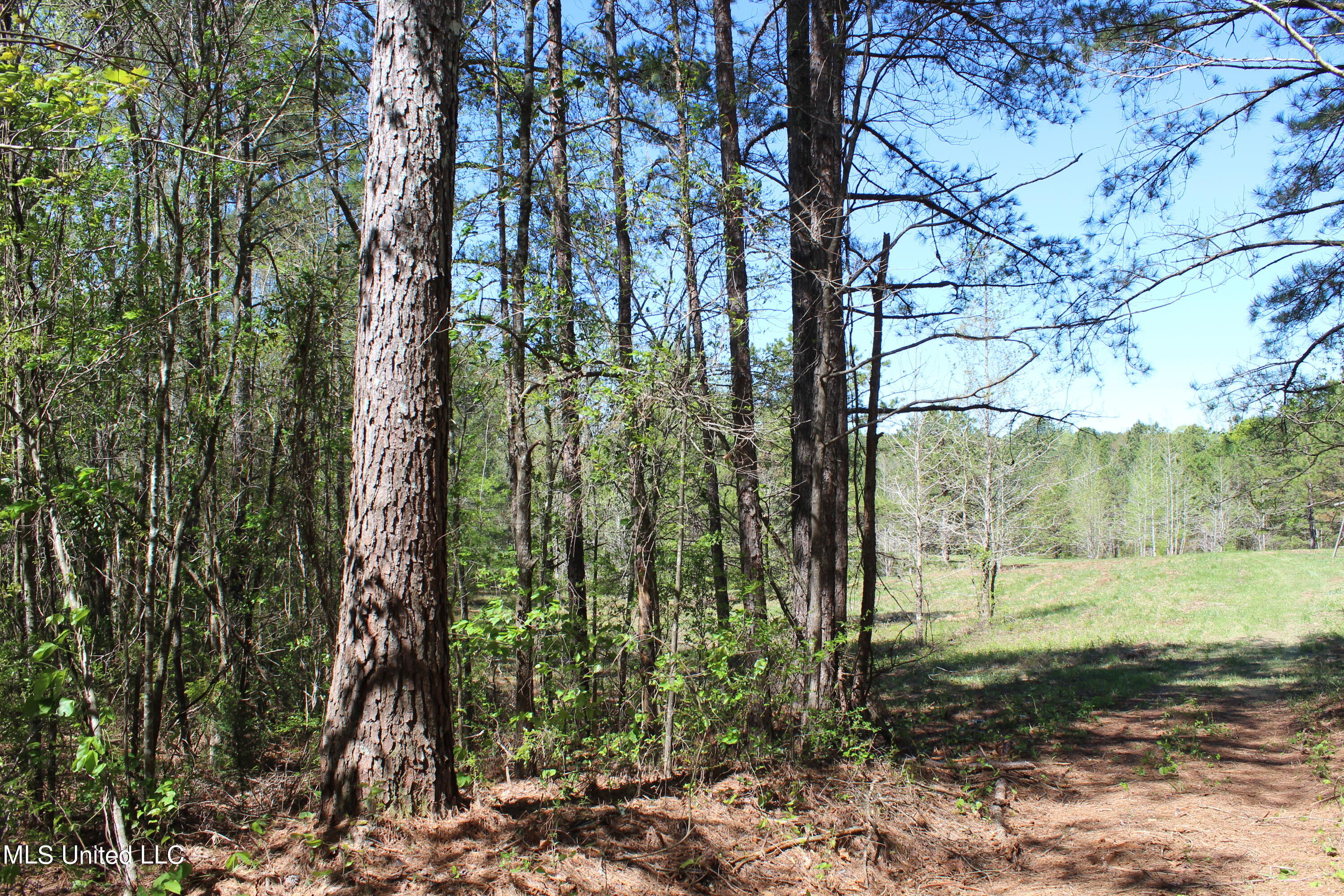 Melvin Leach Rd Union Union, MS 39365 - Photo 1 of 41 1.