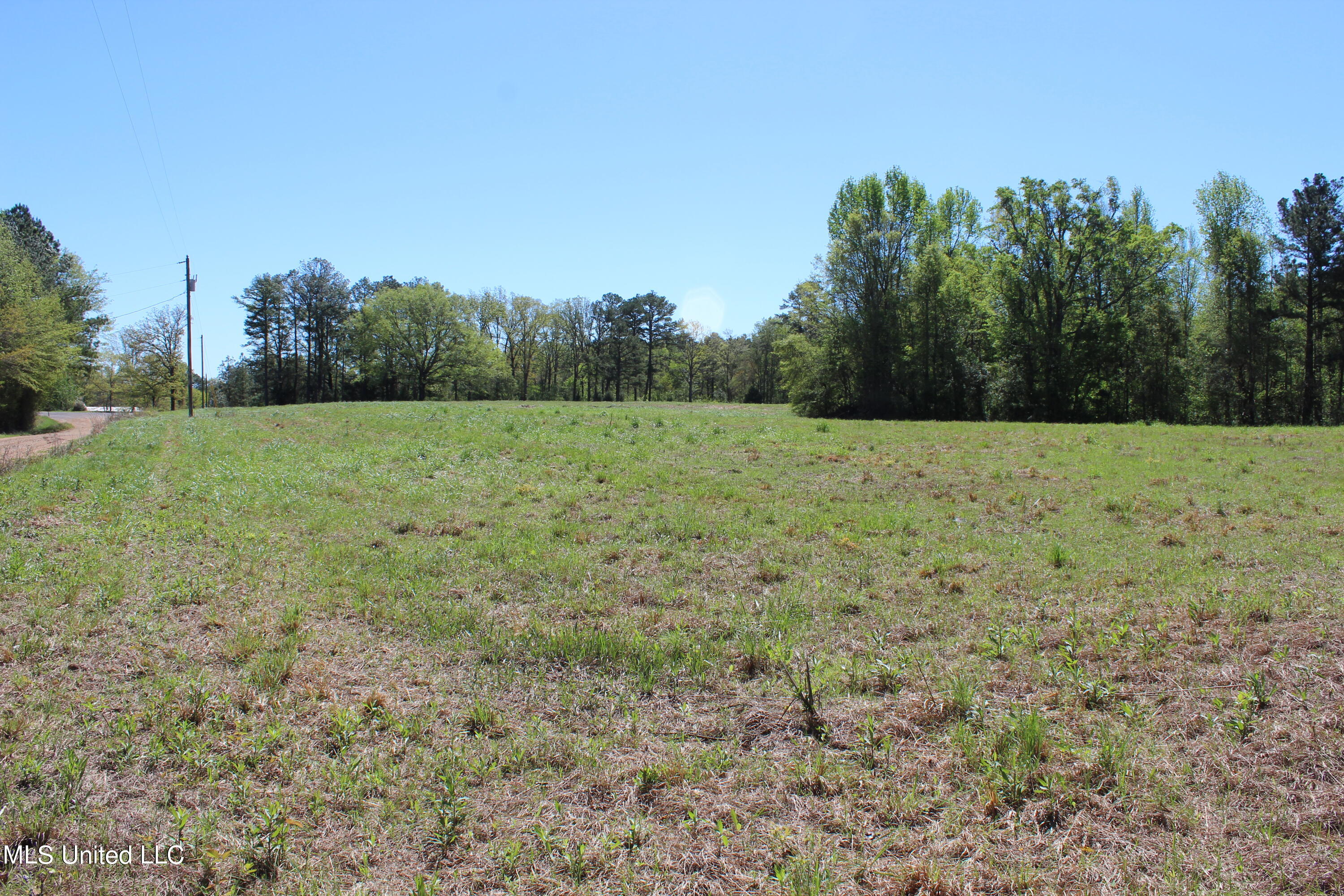 Melvin Leach Rd Union Union, MS 39365 - Photo 11 of 41 11