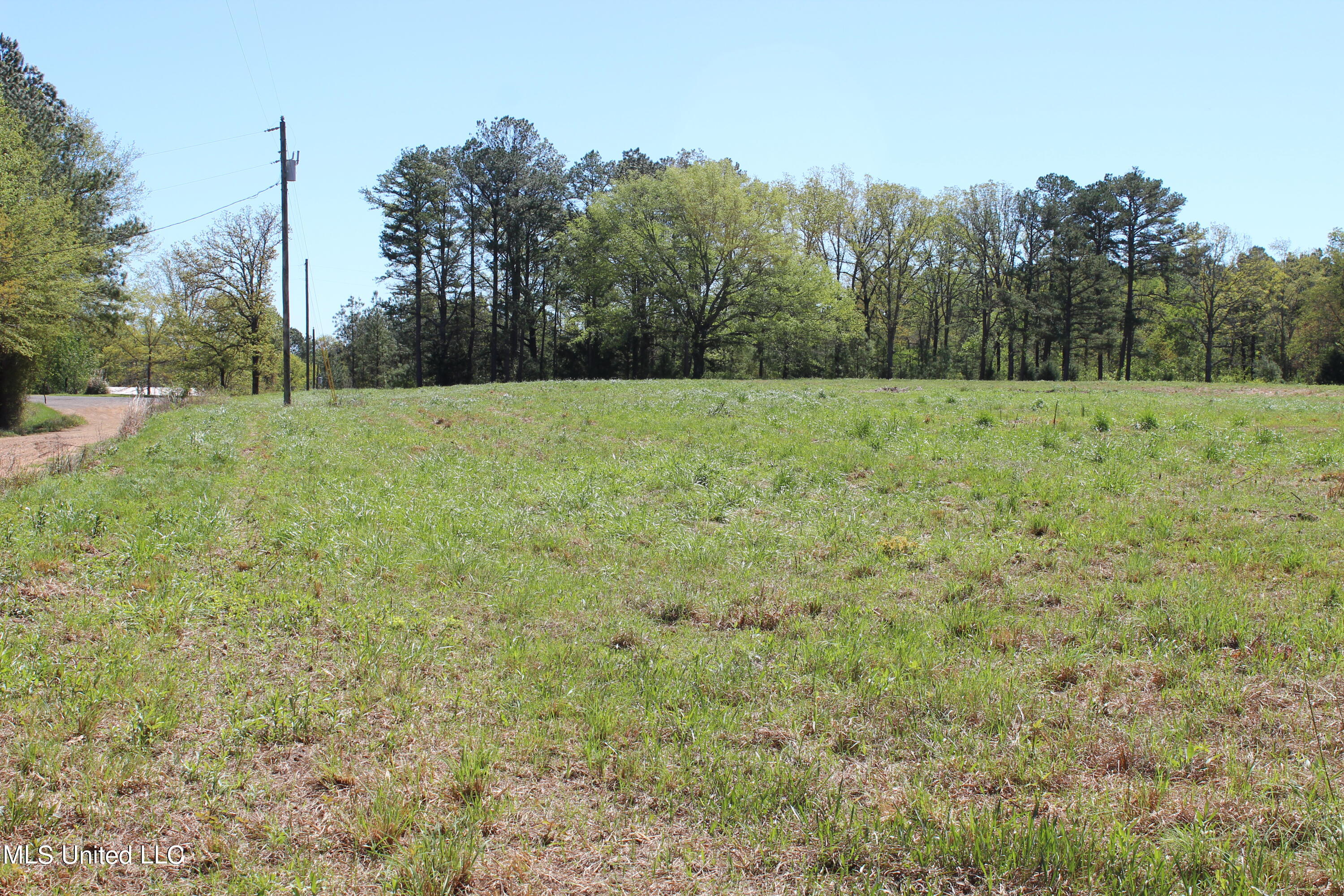 Melvin Leach Rd Union Union, MS 39365 - Photo 12 of 41 12
