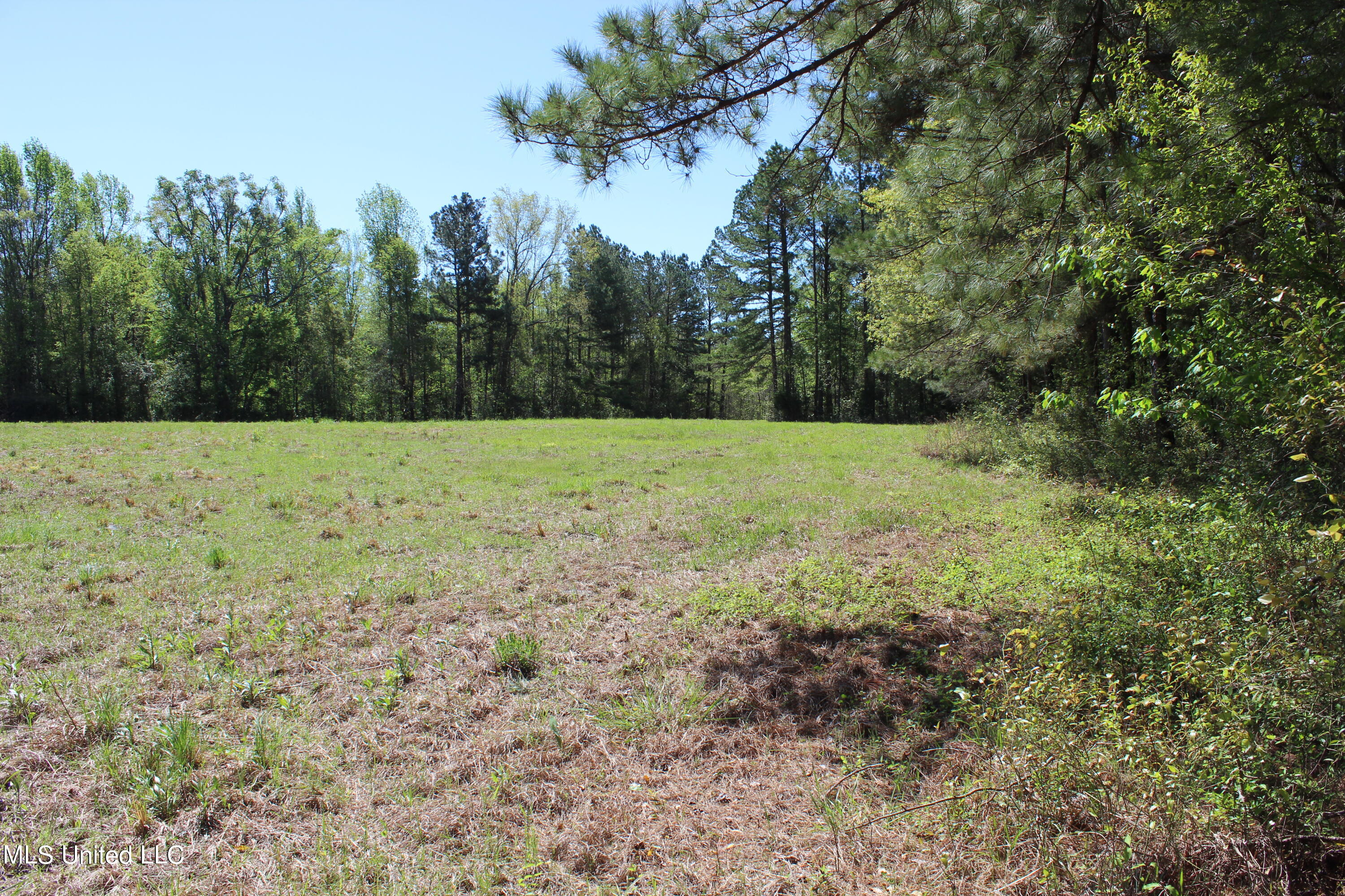 Melvin Leach Rd Union Union, MS 39365 - Photo 13 of 41 IMG_0412