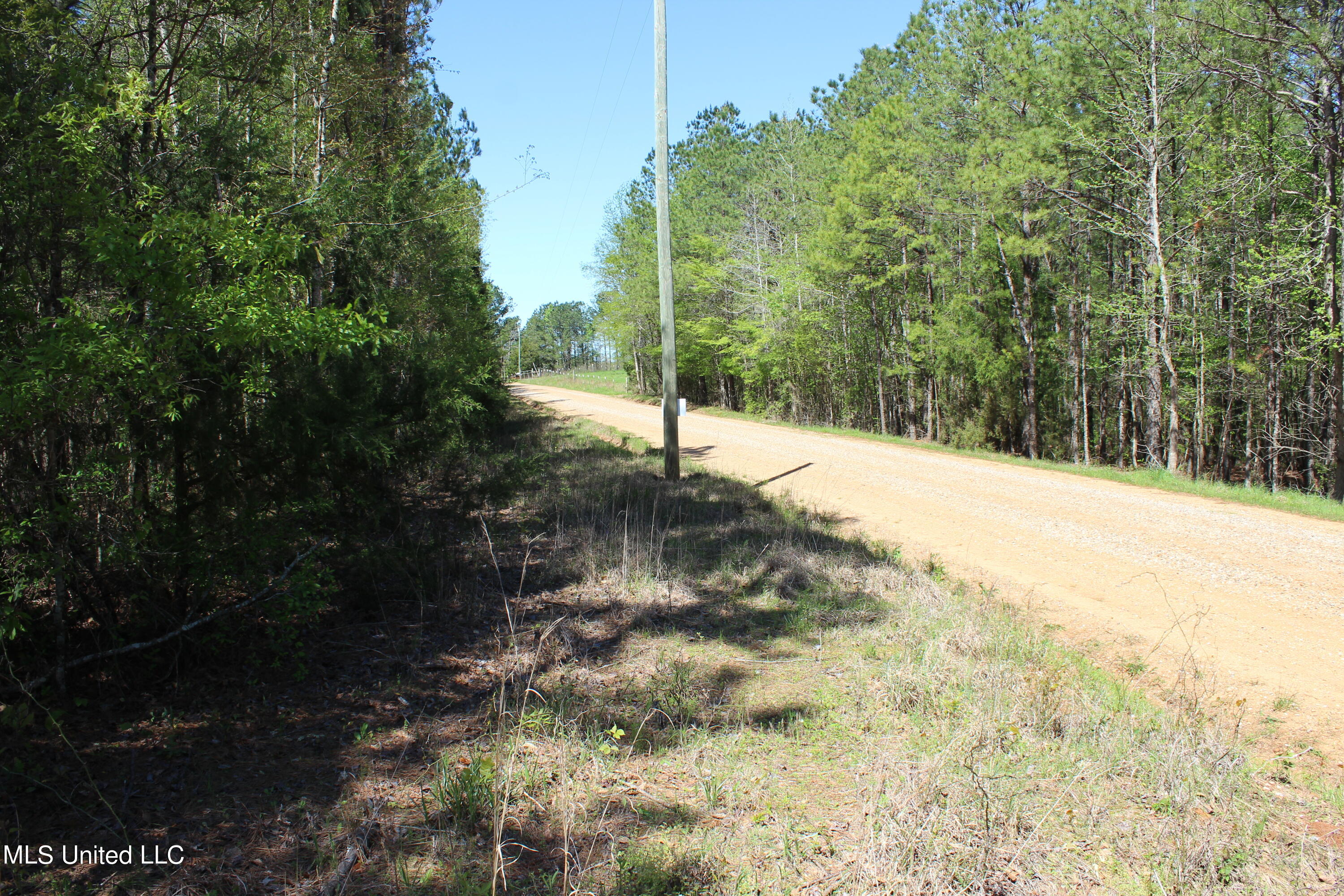 Melvin Leach Rd Union Union, MS 39365 - Photo 14 of 41 IMG_0413