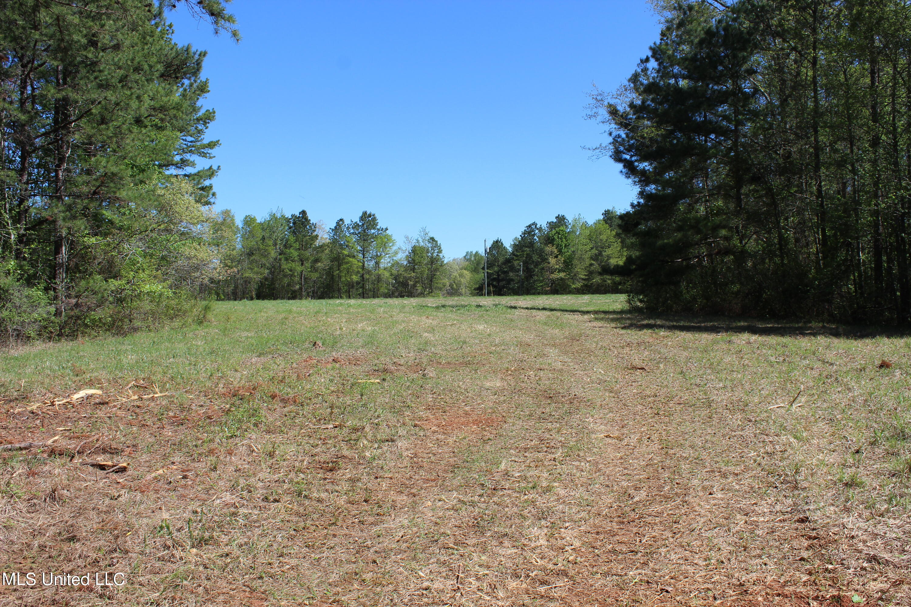 Melvin Leach Rd Union Union, MS 39365 - Photo 15 of 41 IMG_0414