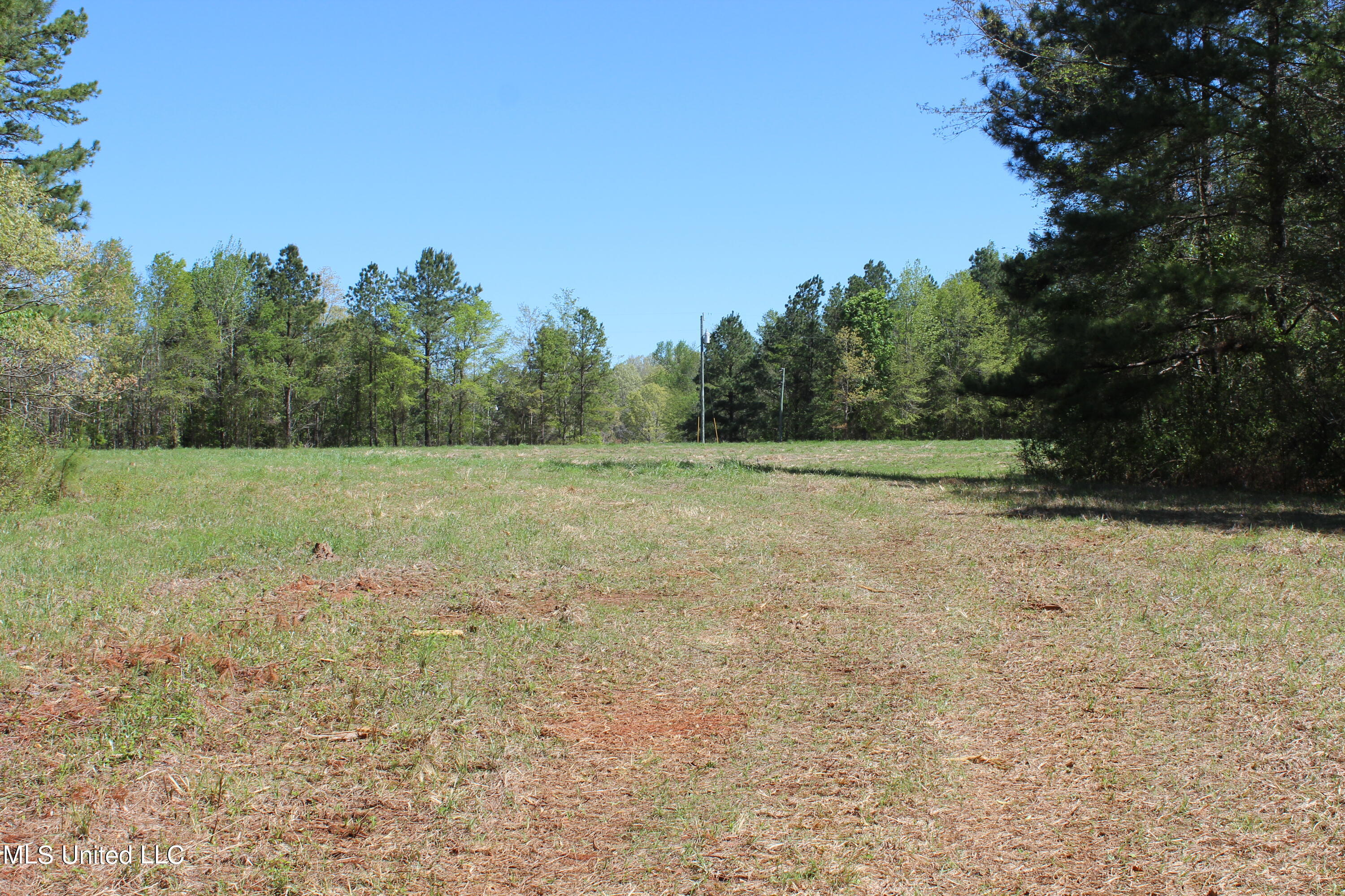 Melvin Leach Rd Union Union, MS 39365 - Photo 16 of 41 IMG_0415