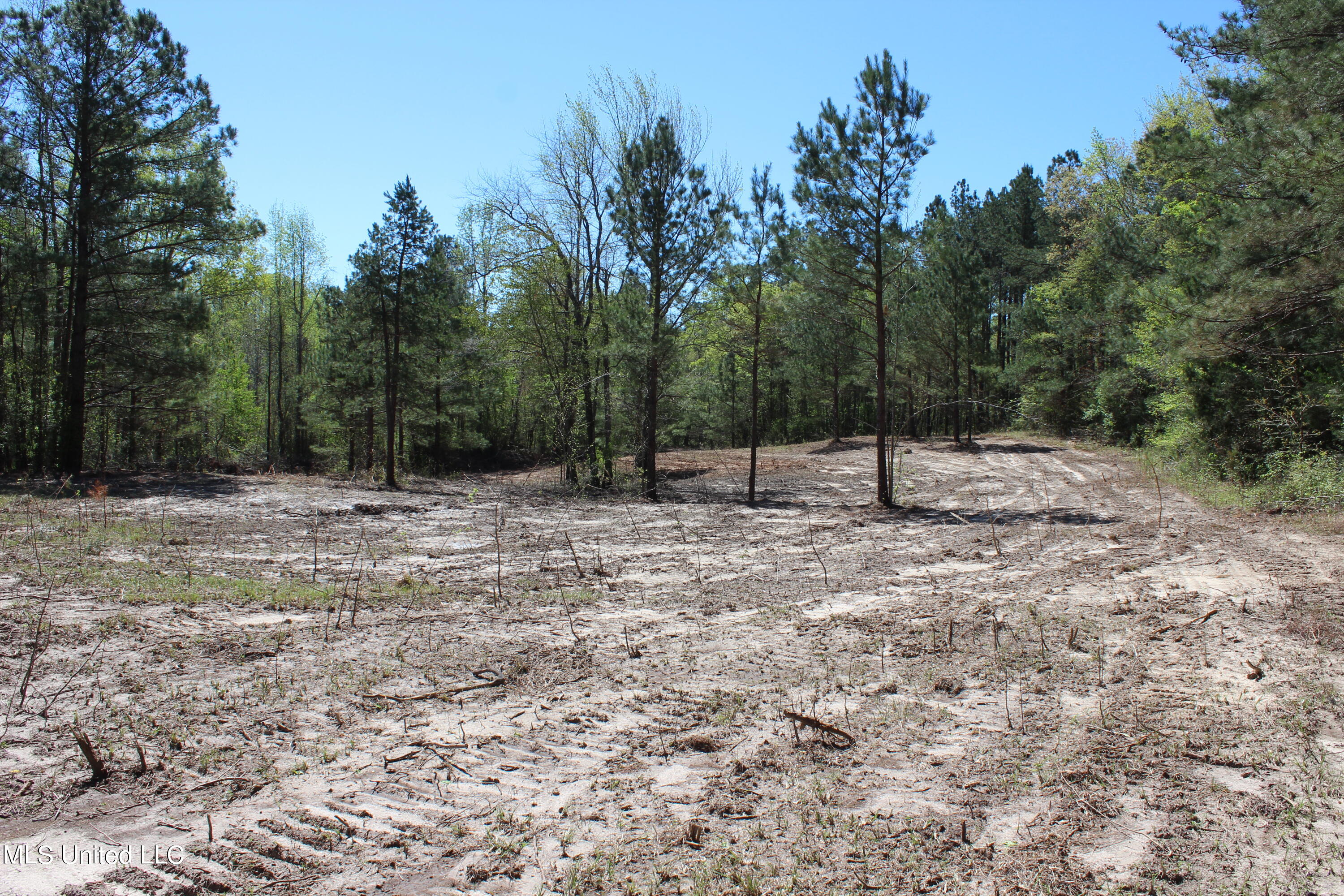 Melvin Leach Rd Union Union, MS 39365 - Photo 18 of 41 IMG_0424