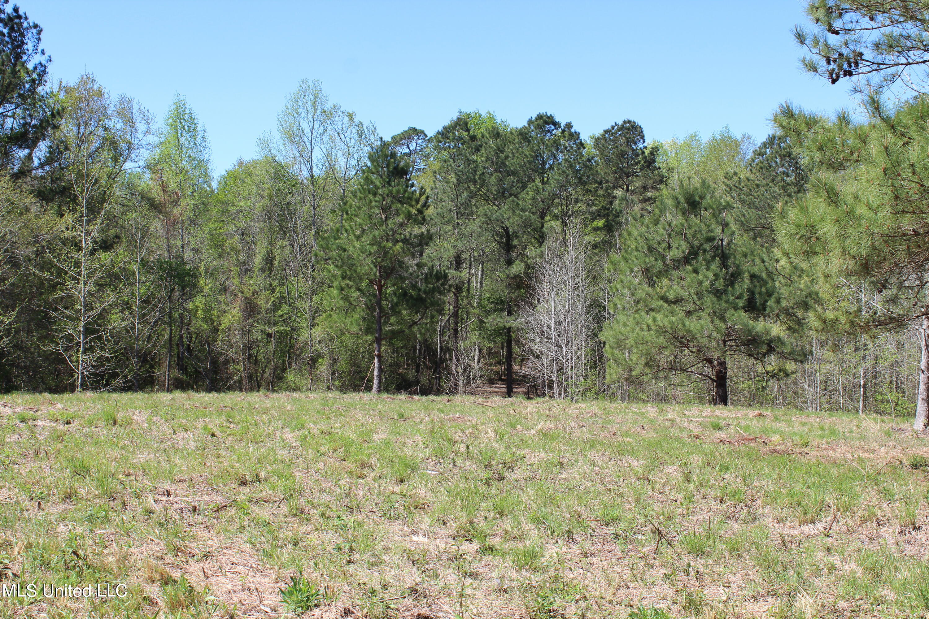 Melvin Leach Rd Union Union, MS 39365 - Photo 25 of 41 IMG_0432