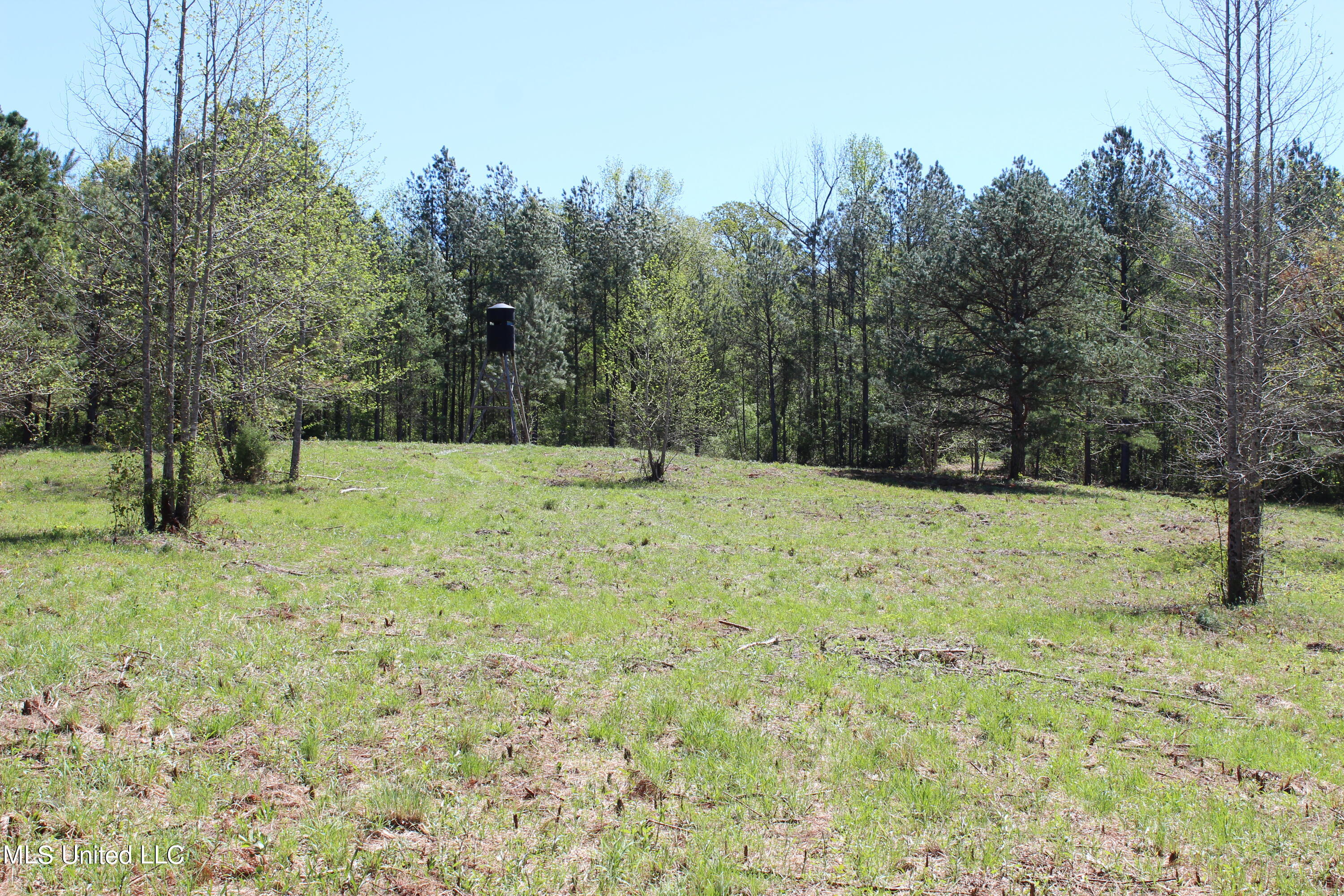Melvin Leach Rd Union Union, MS 39365 - Photo 27 of 41 IMG_0434
