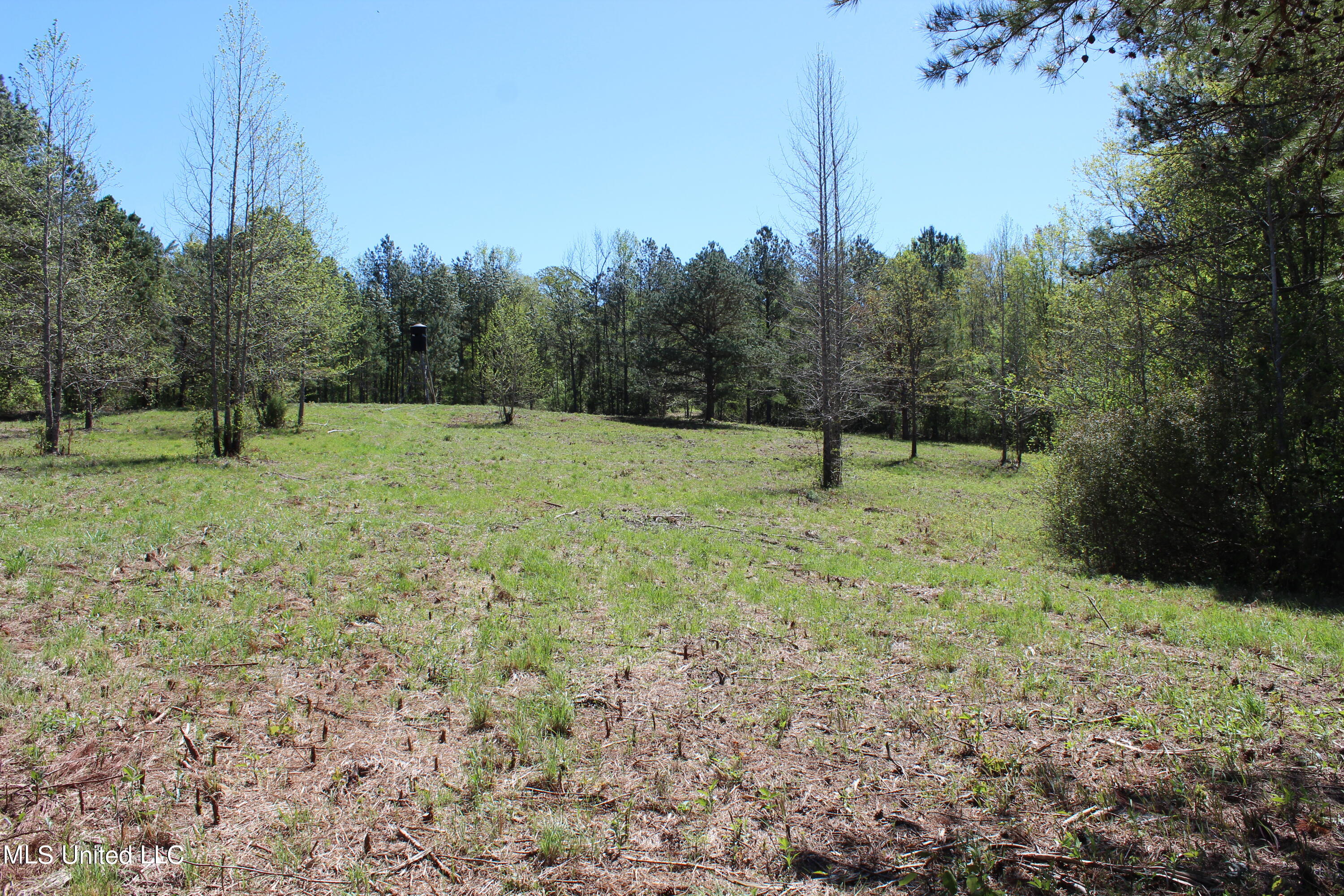 Melvin Leach Rd Union Union, MS 39365 - Photo 28 of 41 IMG_0435