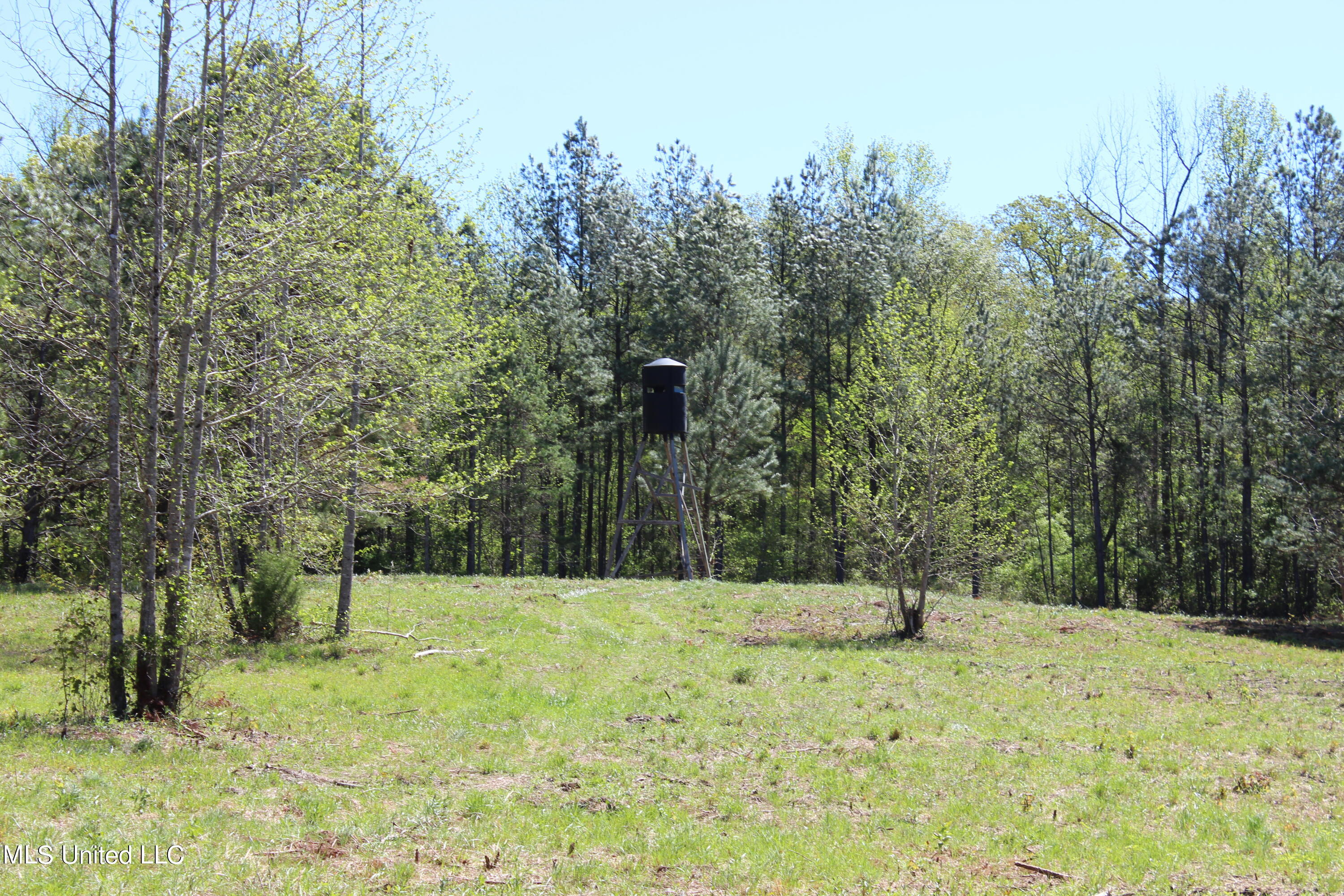 Melvin Leach Rd Union Union, MS 39365 - Photo 29 of 41 IMG_0436