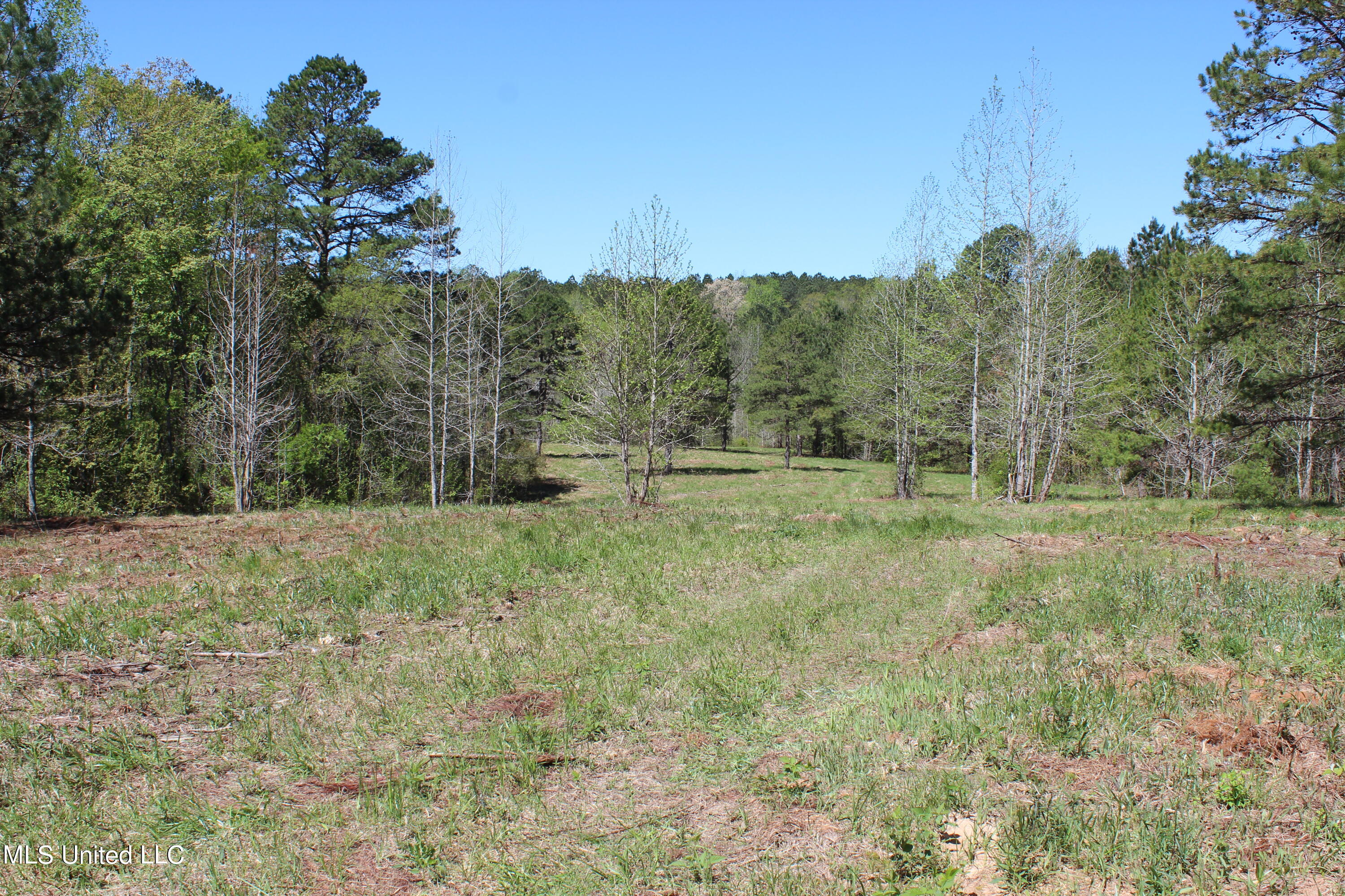 Melvin Leach Rd Union Union, MS 39365 - Photo 30 of 41 IMG_0437