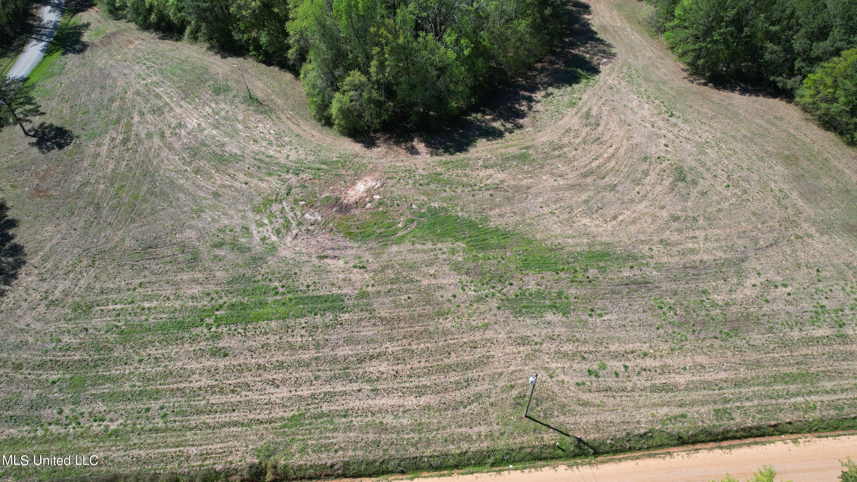 Melvin Leach Rd Union Union, MS 39365 - Photo 3 of 41 3