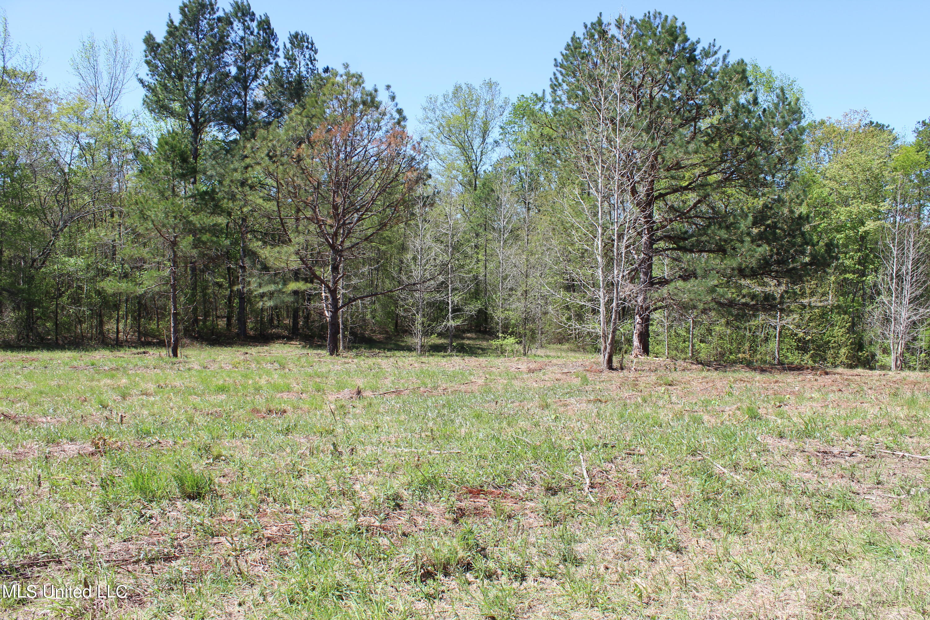 Melvin Leach Rd Union Union, MS 39365 - Photo 31 of 41 IMG_0439