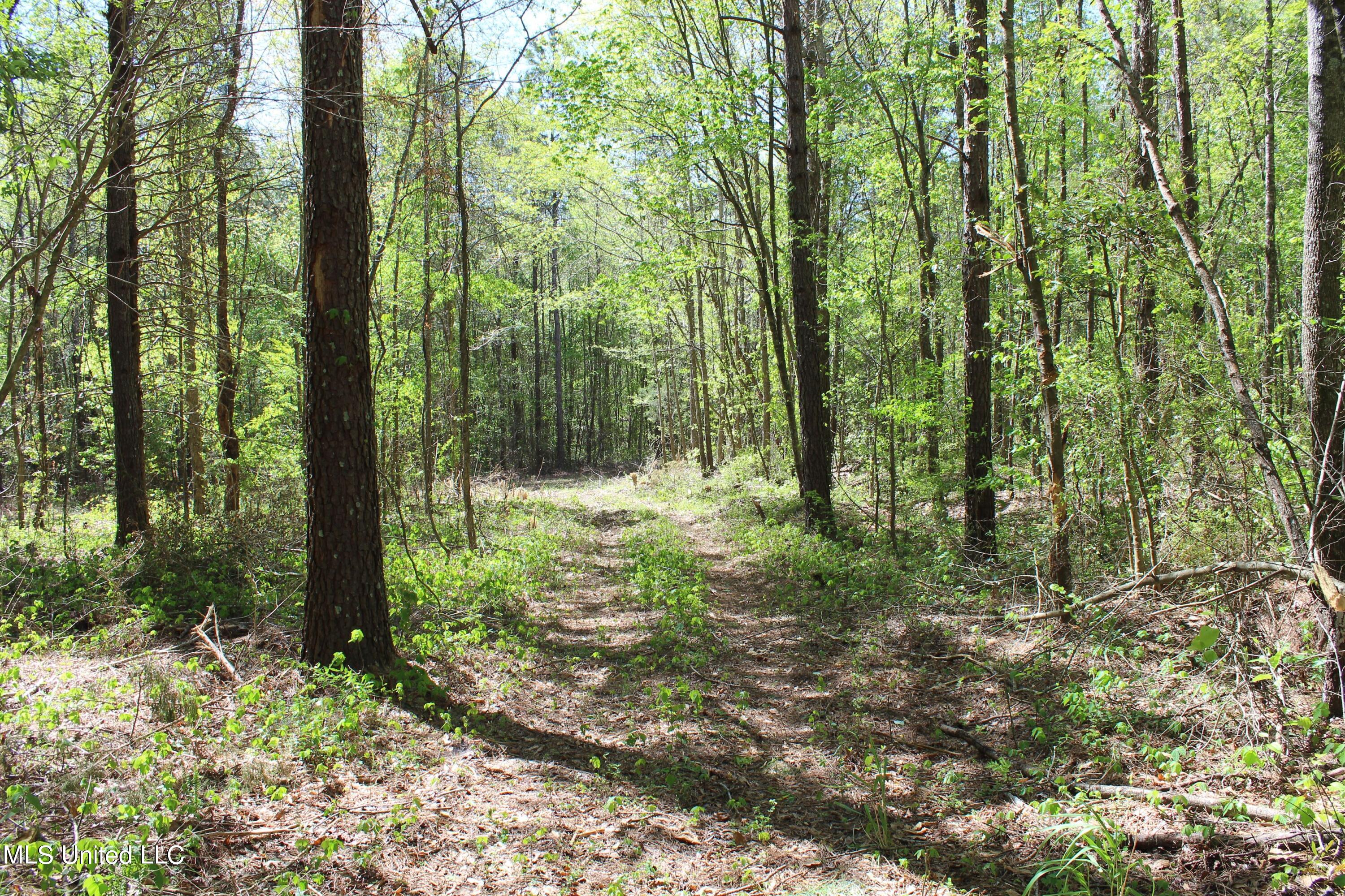 Melvin Leach Rd Union Union, MS 39365 - Photo 38 of 41 IMG_0422