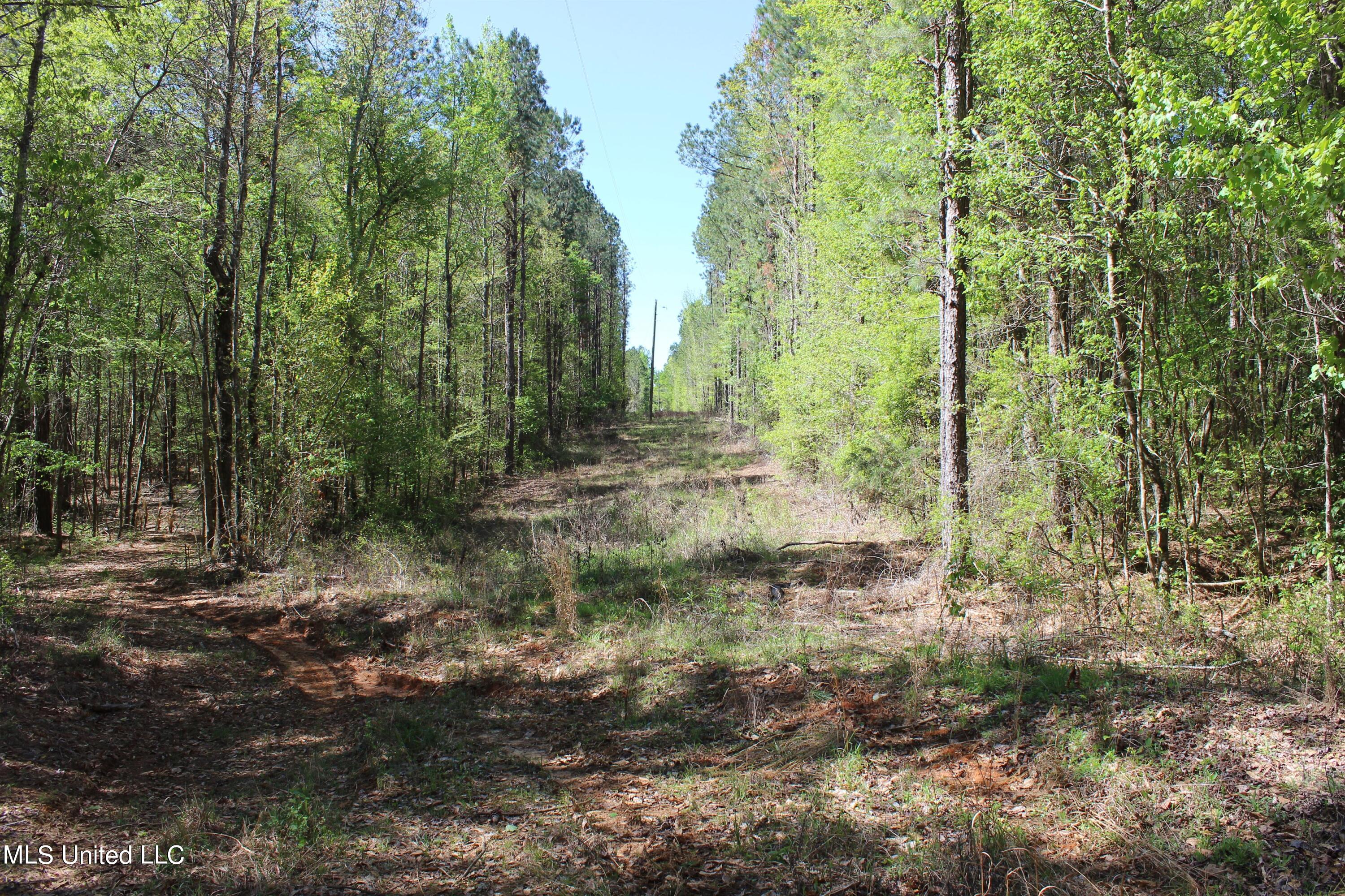 Melvin Leach Rd Union Union, MS 39365 - Photo 39 of 41 IMG_0423