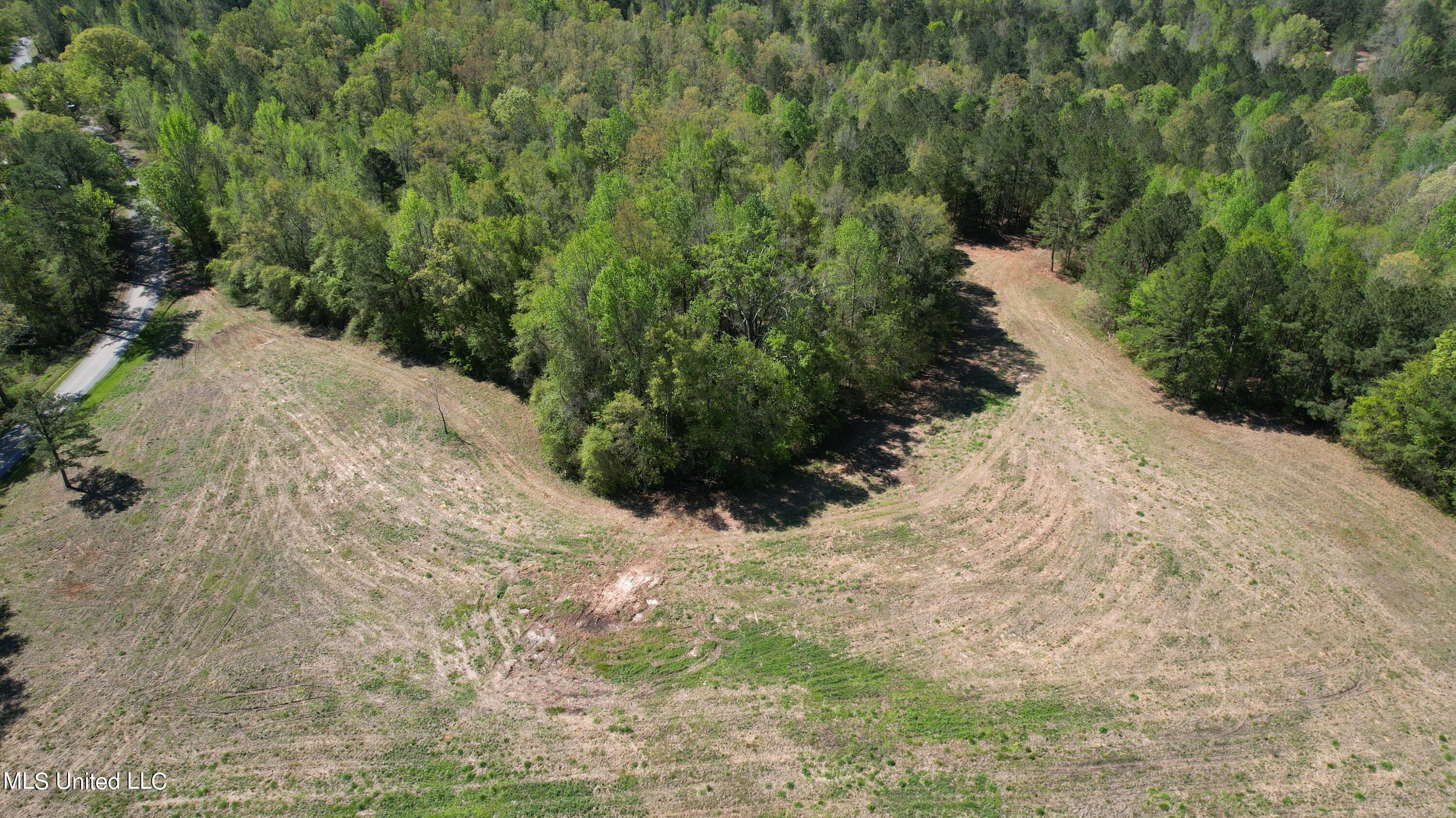 Melvin Leach Rd Union Union, MS 39365 - Photo 4 of 41 4