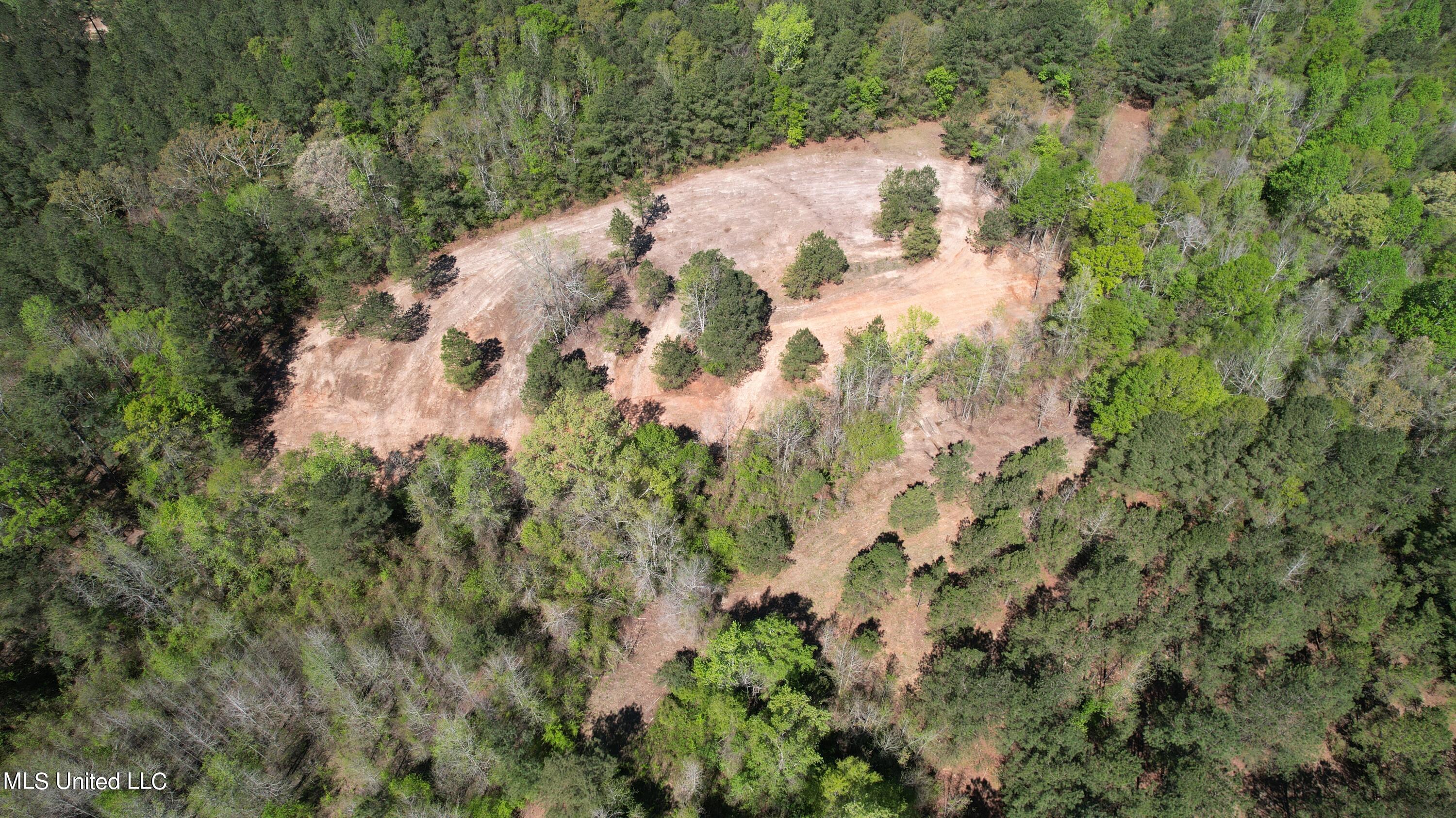 Melvin Leach Rd Union Union, MS 39365 - Photo 7 of 41 7