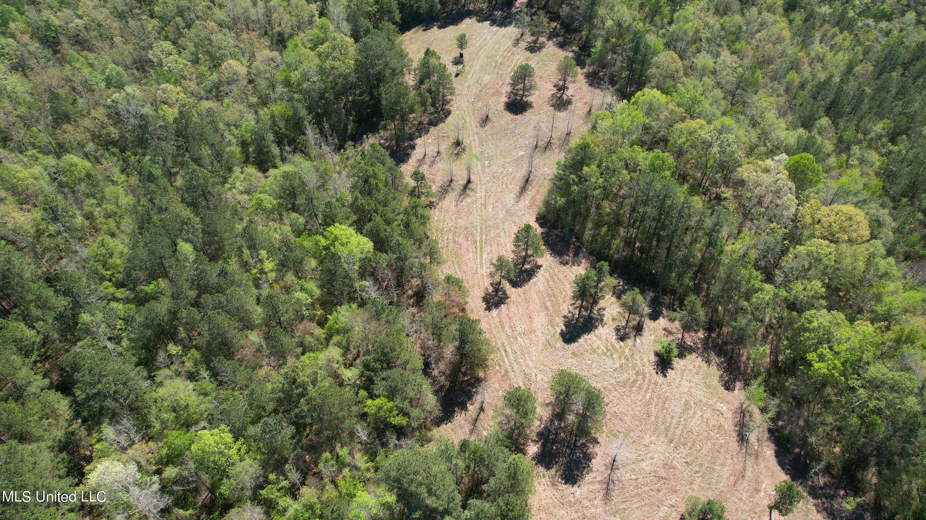 Melvin Leach Rd Union Union, MS 39365 - Photo 8 of 41 8