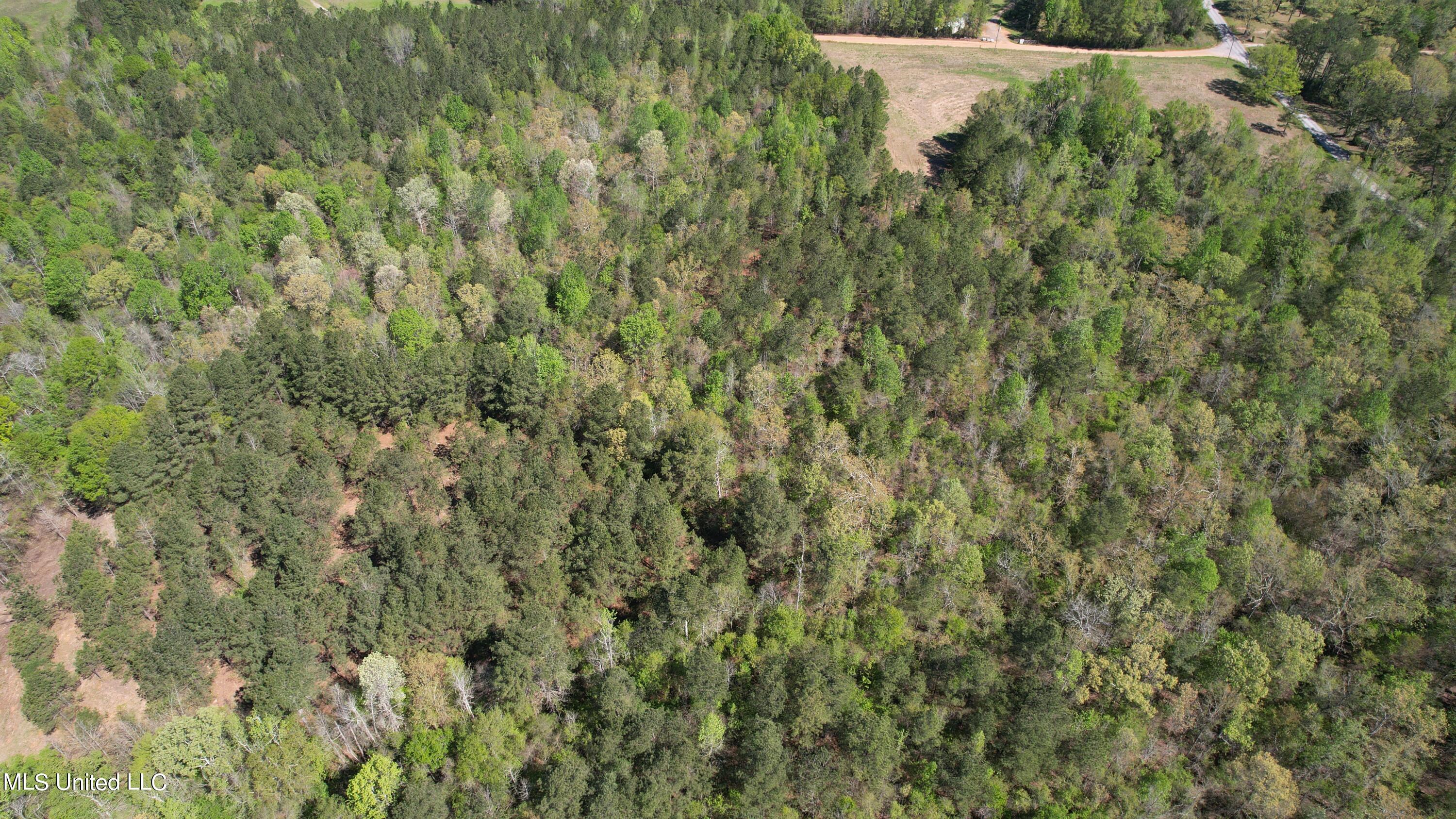 Melvin Leach Rd Union Union, MS 39365 - Photo 9 of 41 9