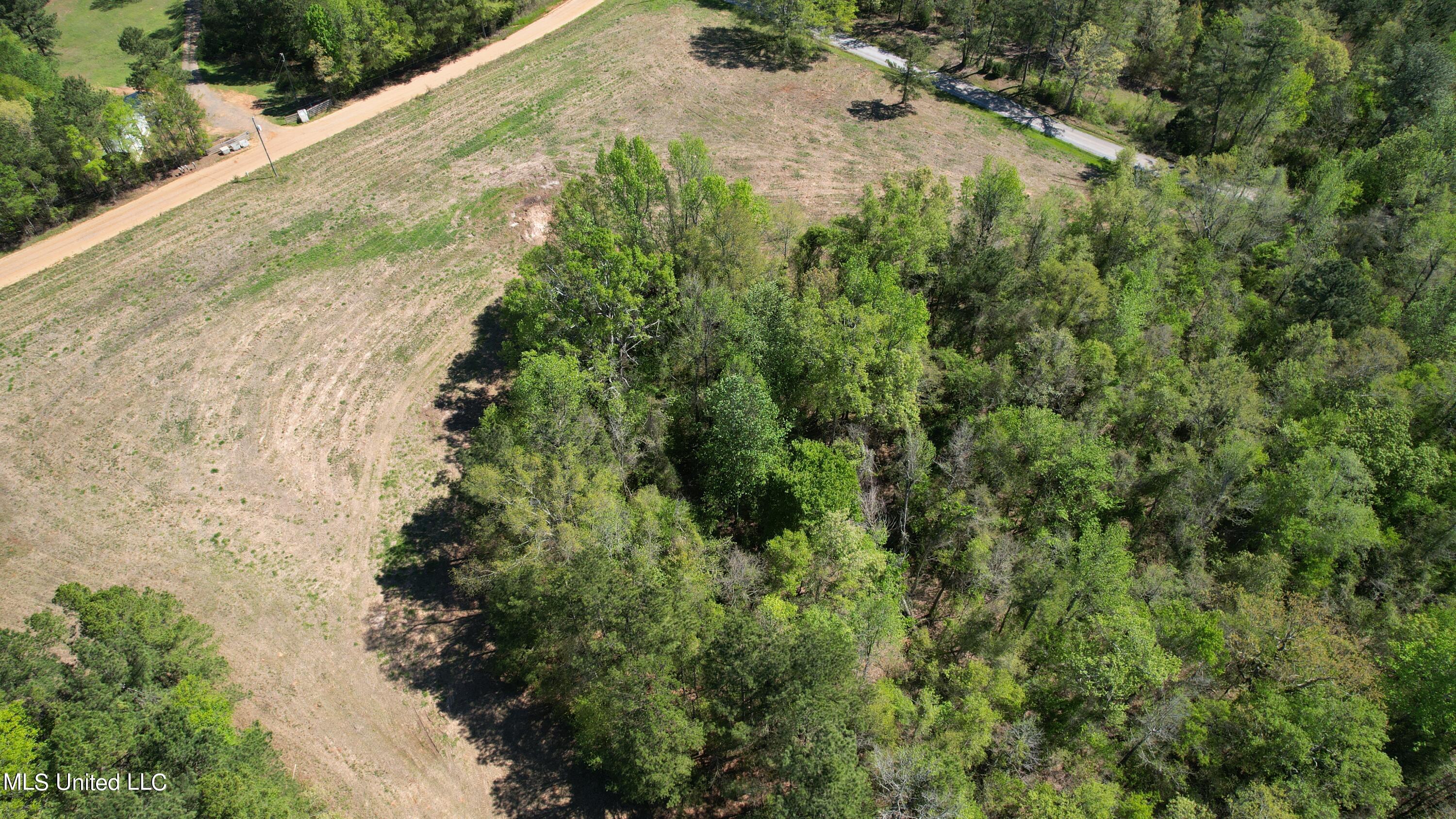 Melvin Leach Rd Union Union, MS 39365 - Photo 10 of 41 10