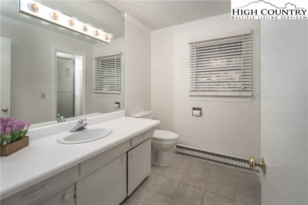 485 Chestnut Drive Boone, NC 28607 - Photo 24 of 48 a bathroom with a sink a toilet and mirror