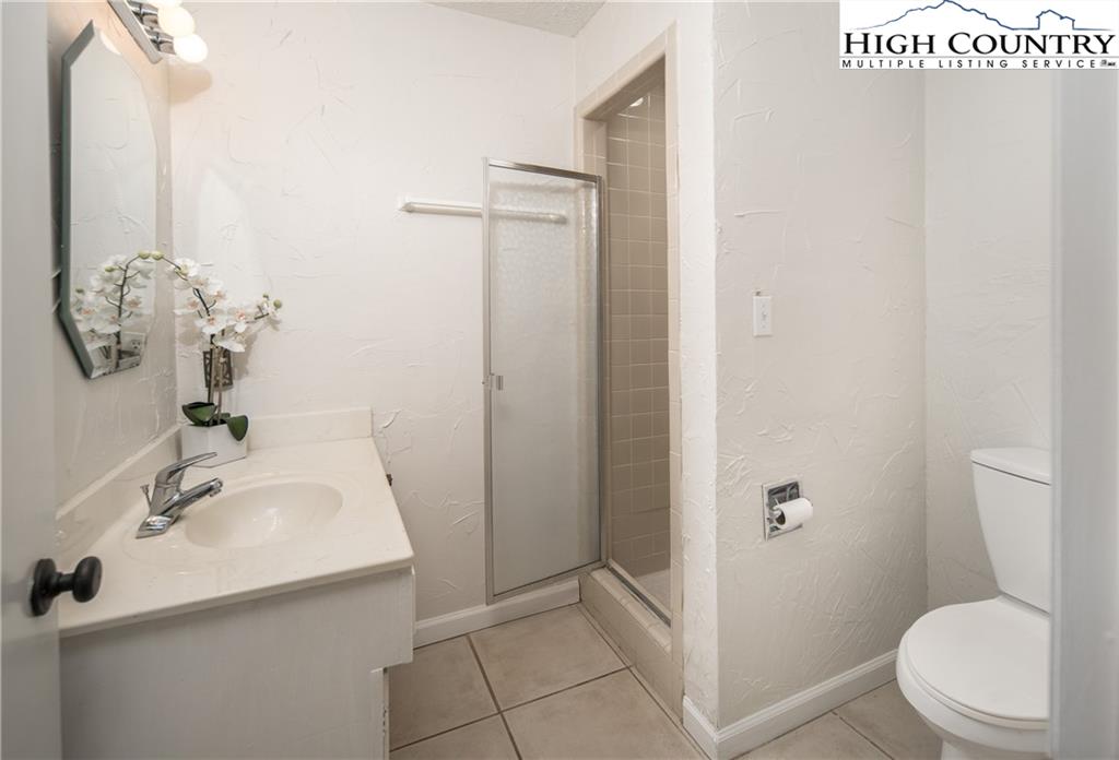 485 Chestnut Drive Boone, NC 28607 - Photo 31 of 48 a bathroom with a sink a toilet and shower