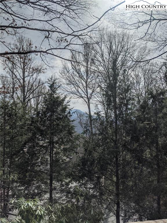485 Chestnut Drive Boone, NC 28607 - Photo 35 of 48 a view of a yard with a tree