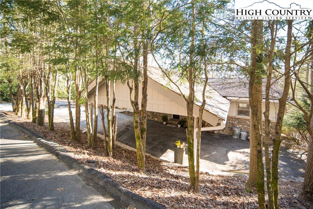 485 Chestnut Drive Boone, NC 28607 - Photo 4 of 48 a backyard of a house with lots of tree