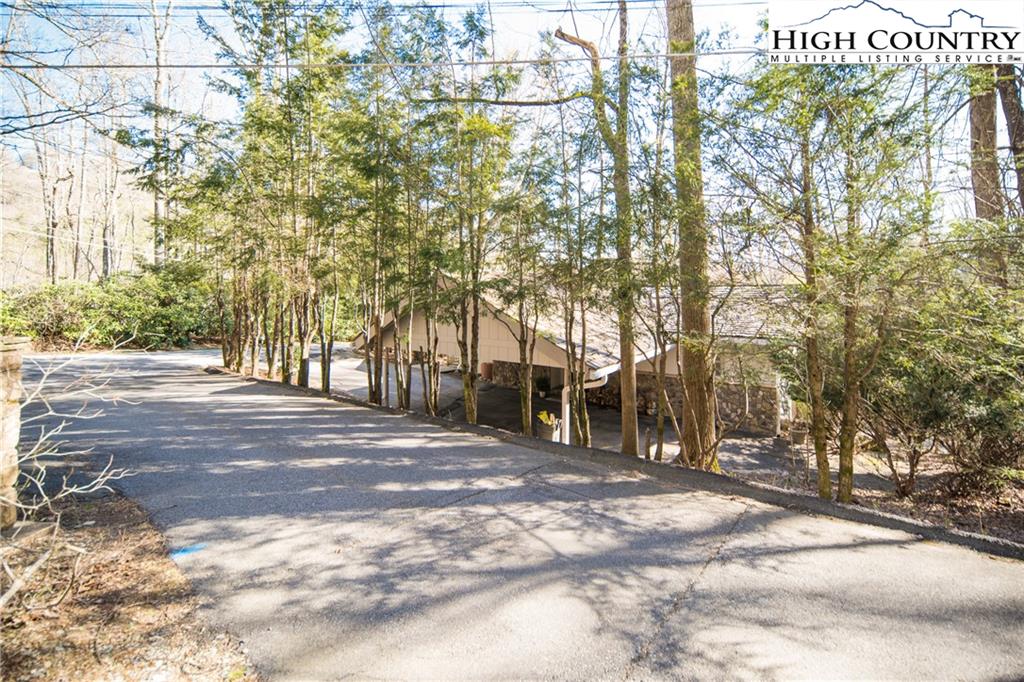 485 Chestnut Drive Boone, NC 28607 - Photo 44 of 48 a view of road with trees