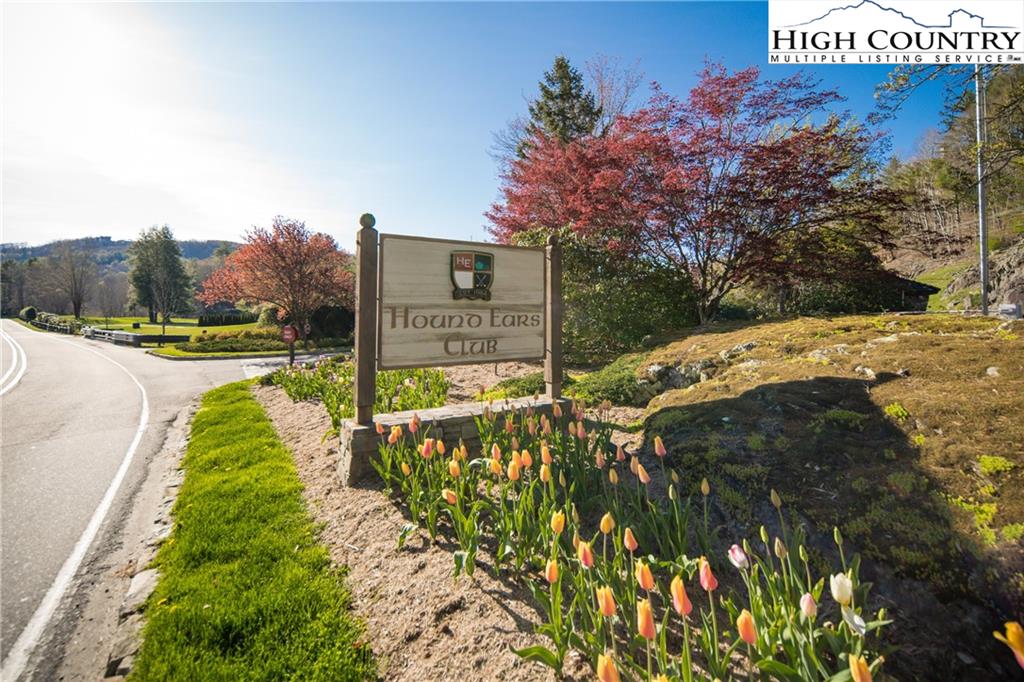 485 Chestnut Drive Boone, NC 28607 - Photo 48 of 48 a view of swimming pool with a yard and mountain view