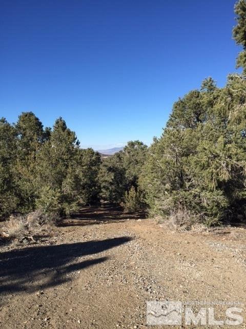 1471 Bonanza Road Reno, NV 89521 - Photo 1 of 1 a view of a yard with mountain view