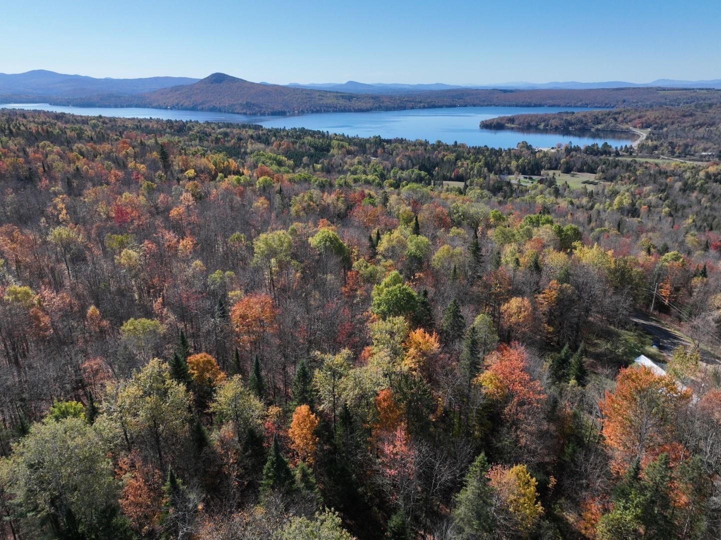 882 Toad Pond Road Morgan, VT 05853 - Photo 45 of 54