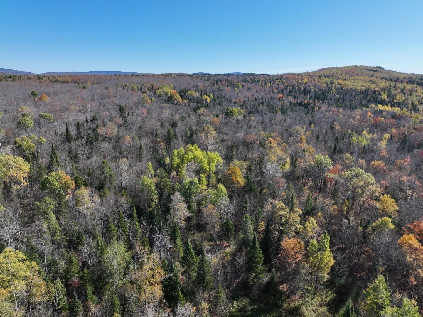 882 Toad Pond Road Morgan, VT 05853 - Photo 46 of 54