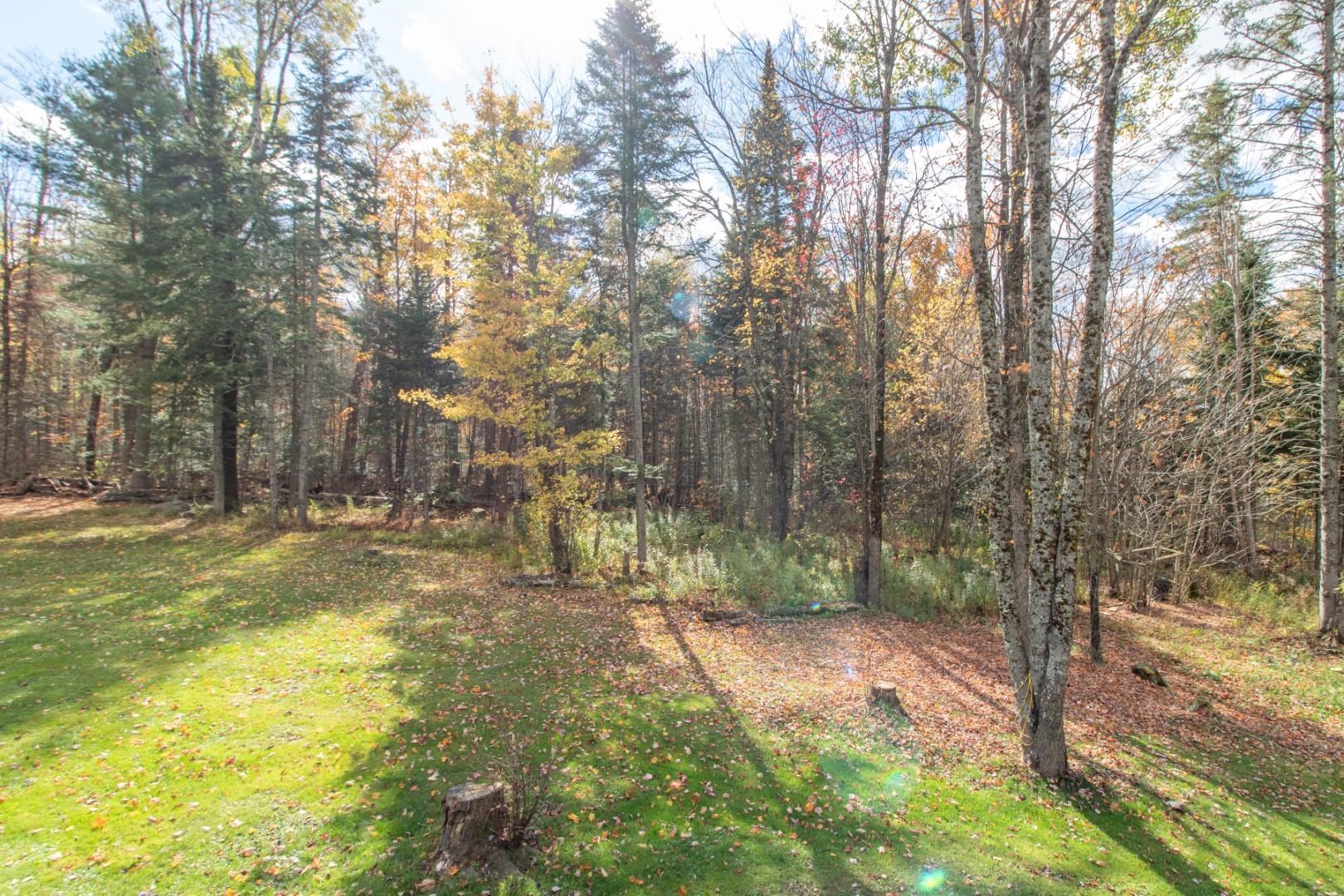 882 Toad Pond Road Morgan, VT 05853 - Photo 47 of 54