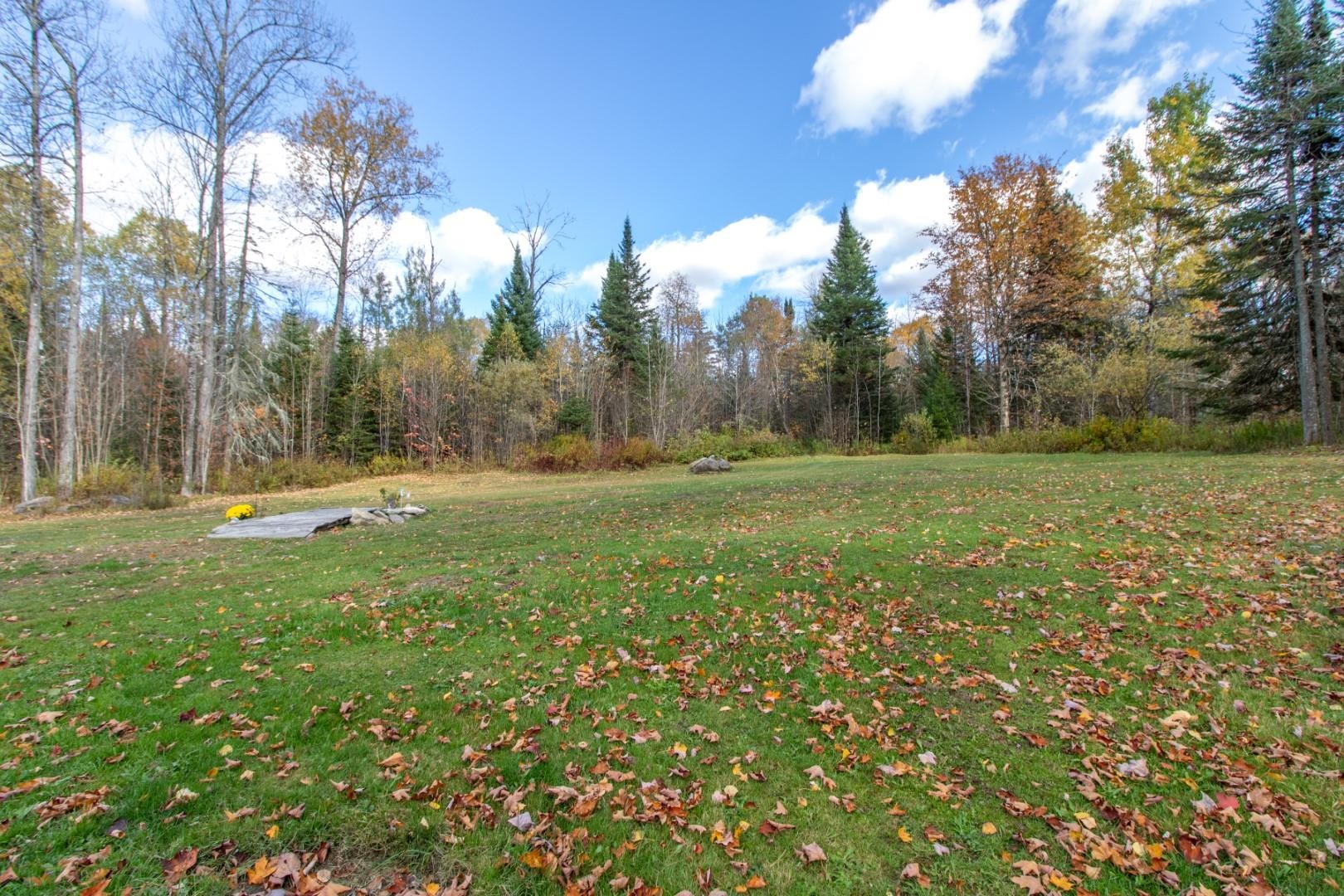 882 Toad Pond Road Morgan, VT 05853 - Photo 50 of 54