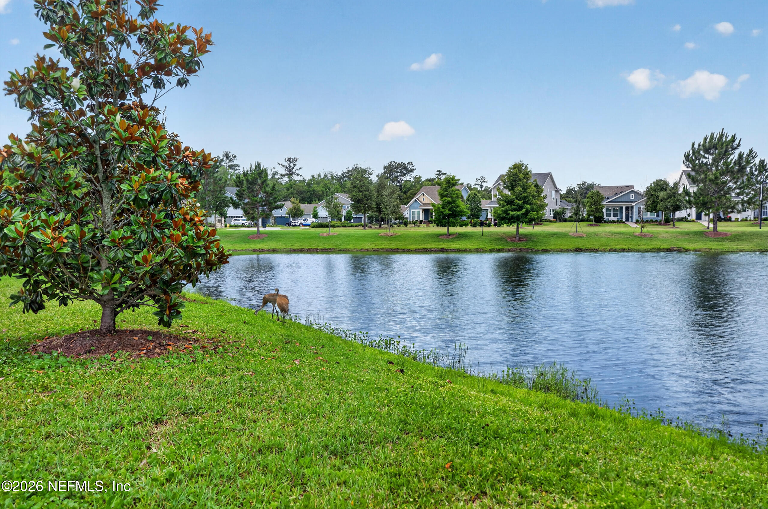 253 Ridgewind Drive St. Augustine, FL 32092 - Photo 49 of 125 Backyard