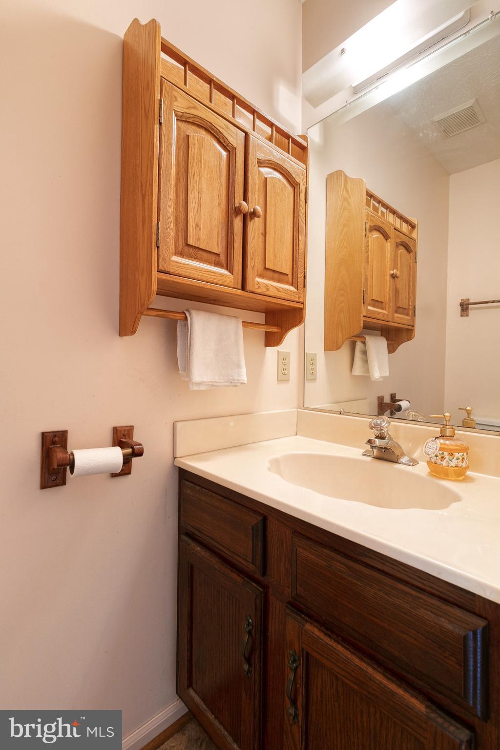 8676 Mission Road Jessup, MD 20794 - Photo 13 of 32 Powder room