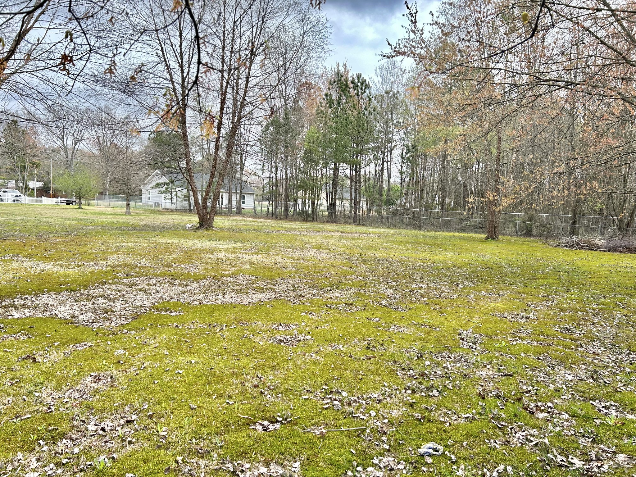 2590 Wayside Road Manchester, TN 37355 - Photo 43 of 45 a view of a large yard with large trees