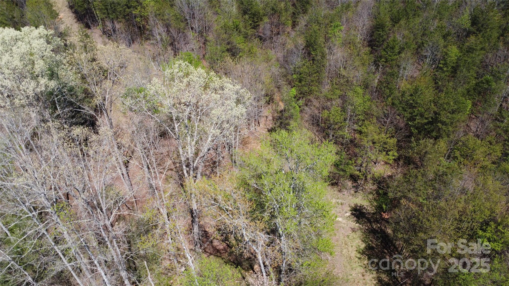 0 Snowhill Church Road Morganton, NC 28655 - Photo 20 of 40