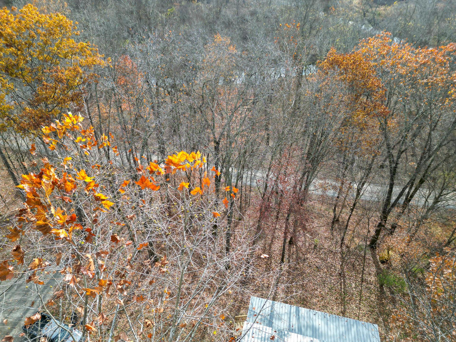 0 Keystone Road, Unit CREEKVIEW CABIN) Vinton, OH 45686 - Photo 71 of 95 CT-71