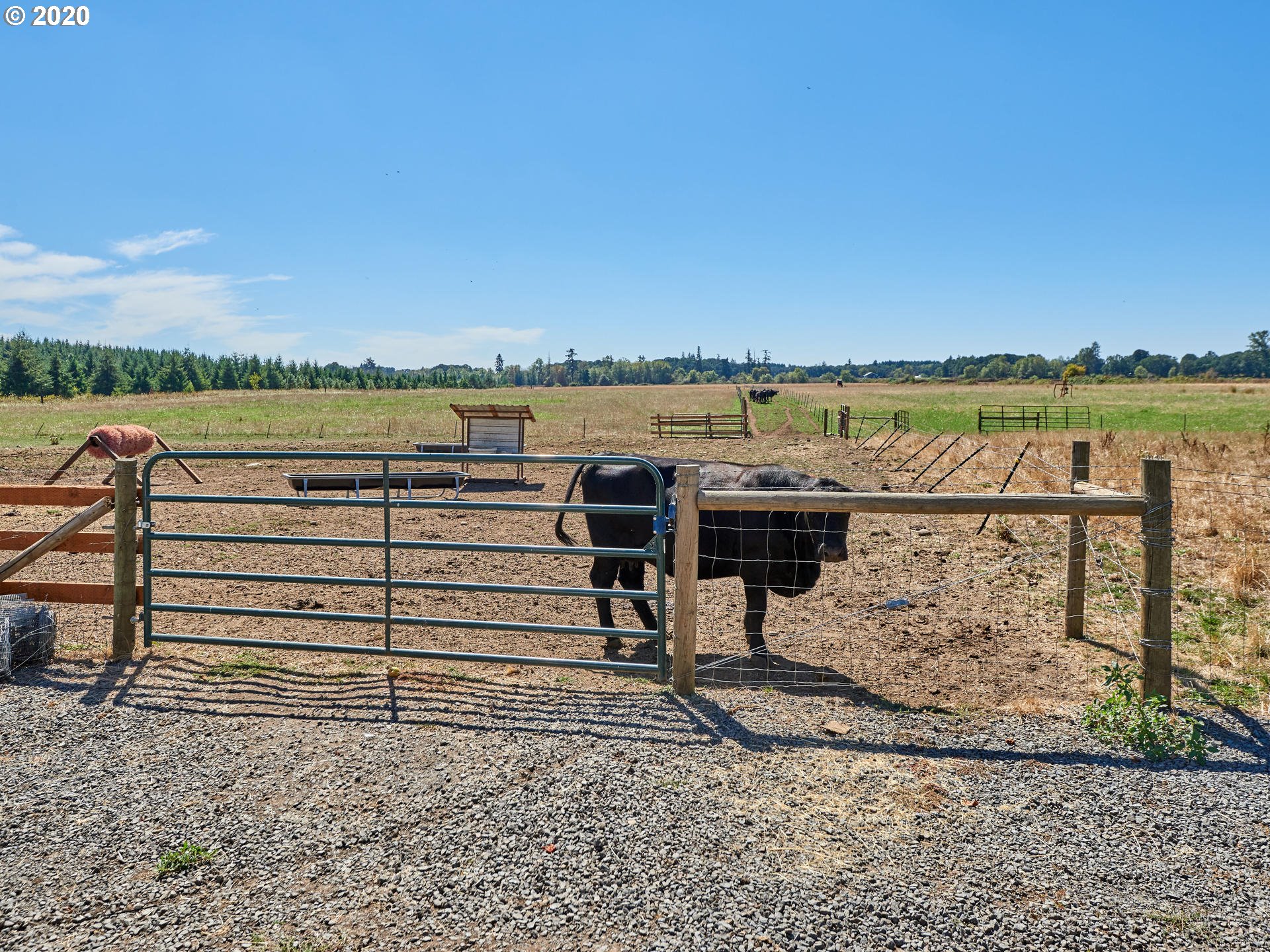 14900 South Macksburg Road Molalla, OR 97038 - Photo 6 of 32 Gallery Image 6