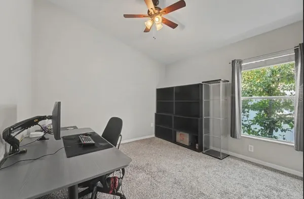 a view of a yard with plants and trees