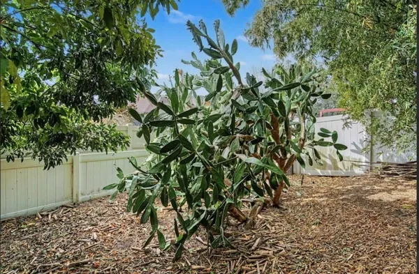an aerial view of a city with lots of residential buildings