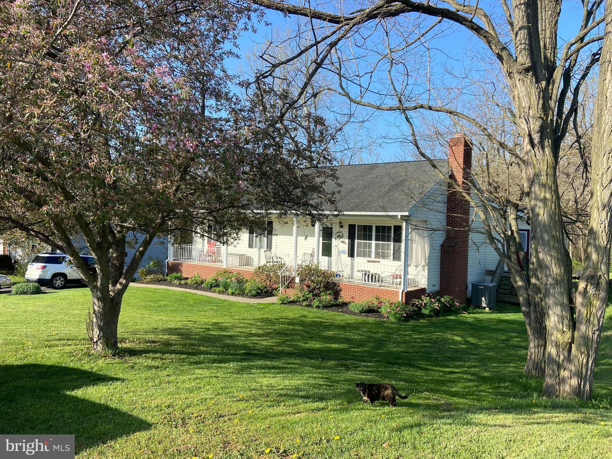 a front view of a house with a yard and trees