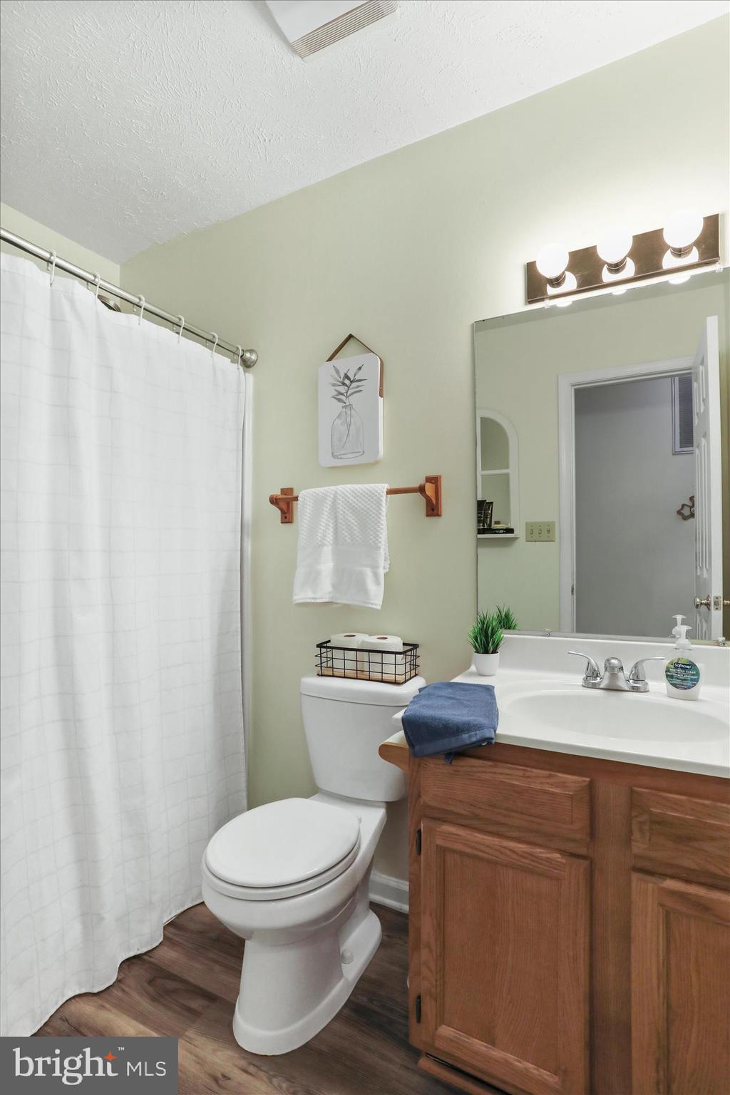 573 Lewis Street Front Royal, VA 22630 - Photo 29 of 45 a bathroom with a sink a toilet and shower
