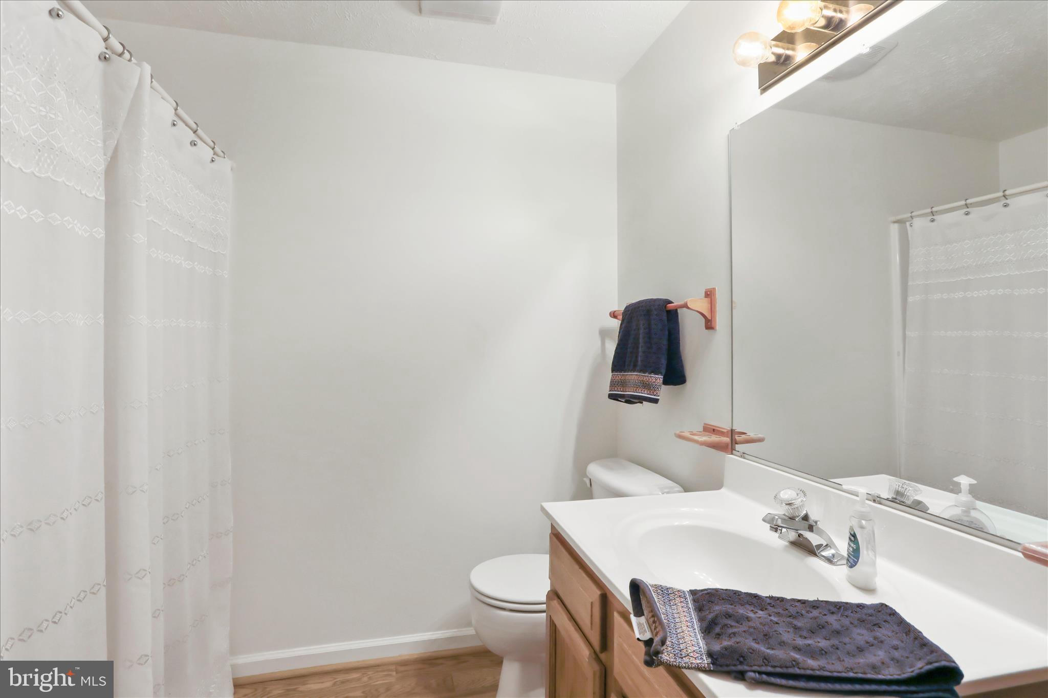 573 Lewis Street Front Royal, VA 22630 - Photo 33 of 45 a bathroom with a sink toilet and vanity